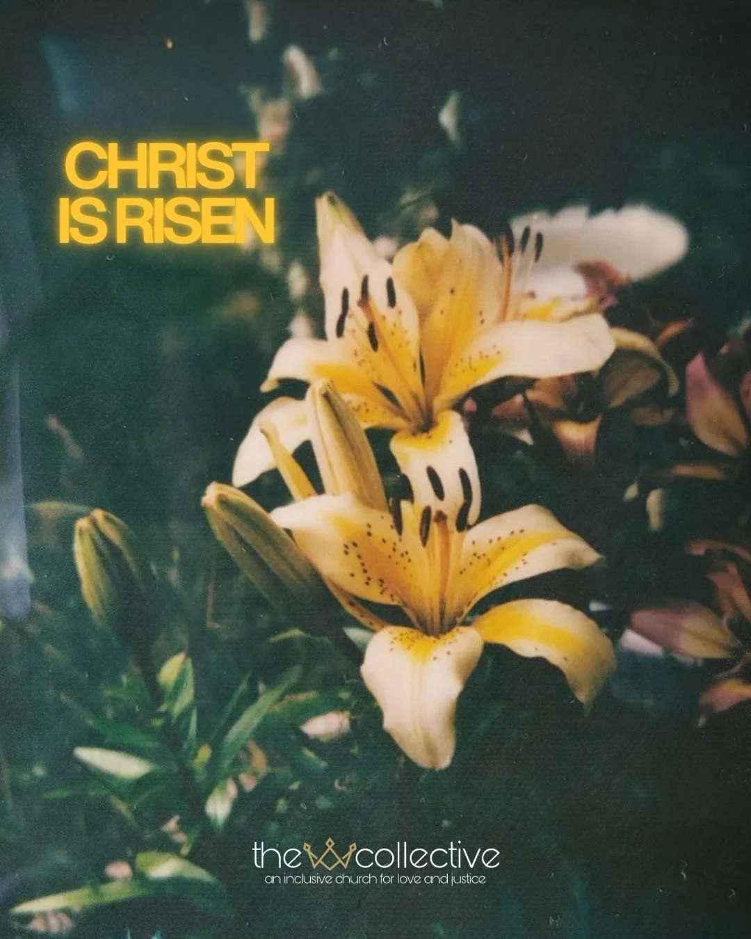 Resurrection isn't just a story from 2,000 years ago. It&rsquo;s the reality that the worst thing is never the last thing.

When the women went to the tomb, they thought they were walking into a dead end. Instead, they were the very first to realize 