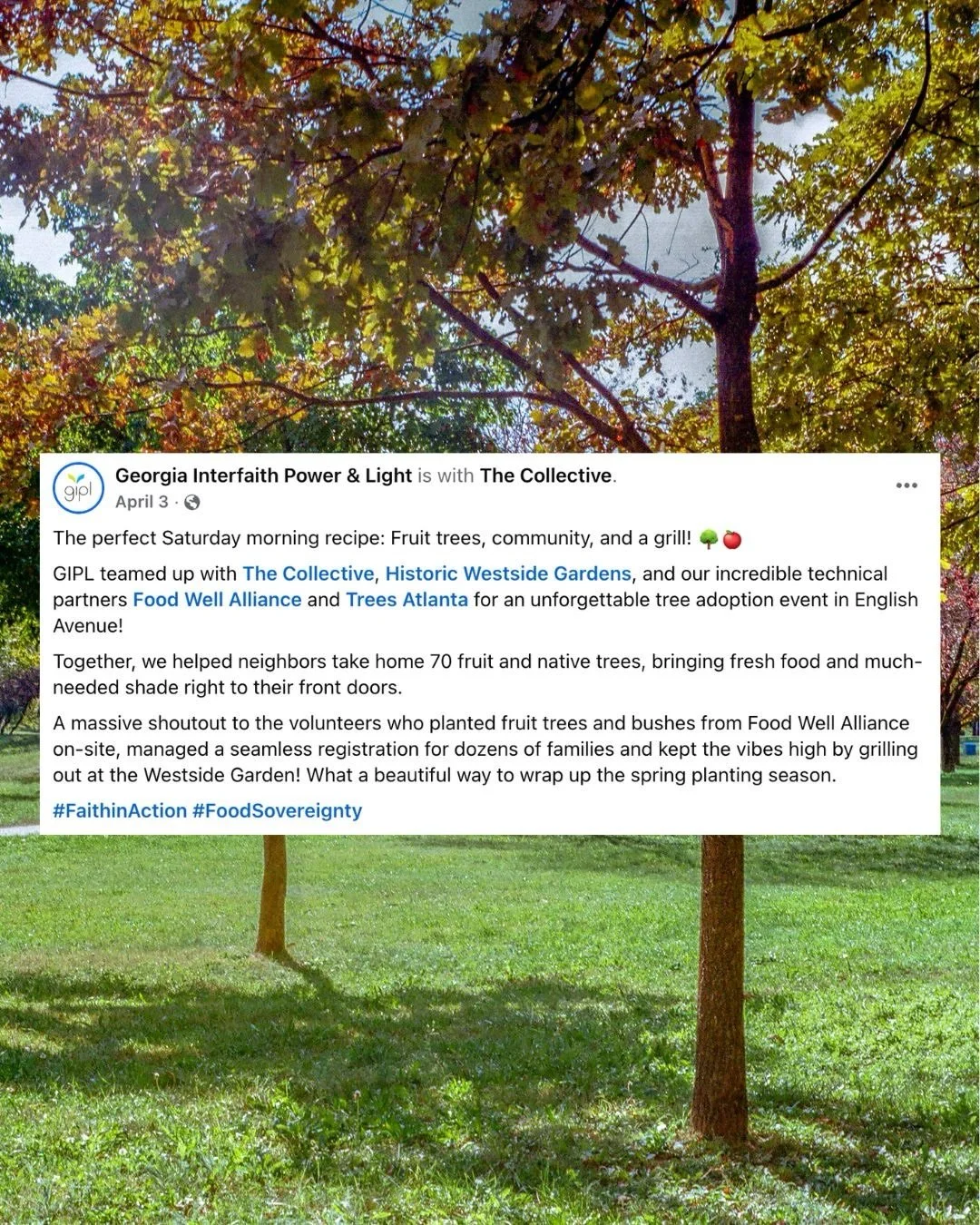 70 new trees, a fired-up grill, and a whole lot of dirt.

Throwback to April in English Avenue! We teamed up with GIPL, Historic Westside Gardens, Food Well Alliance, and Trees Atlanta to help neighbors plant 70 fruit and native trees right in their 
