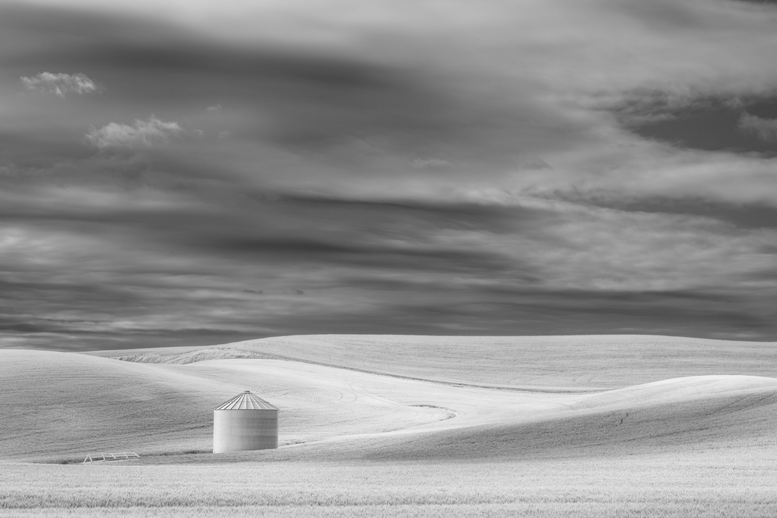 danieljgregory_bw-1826.jpg