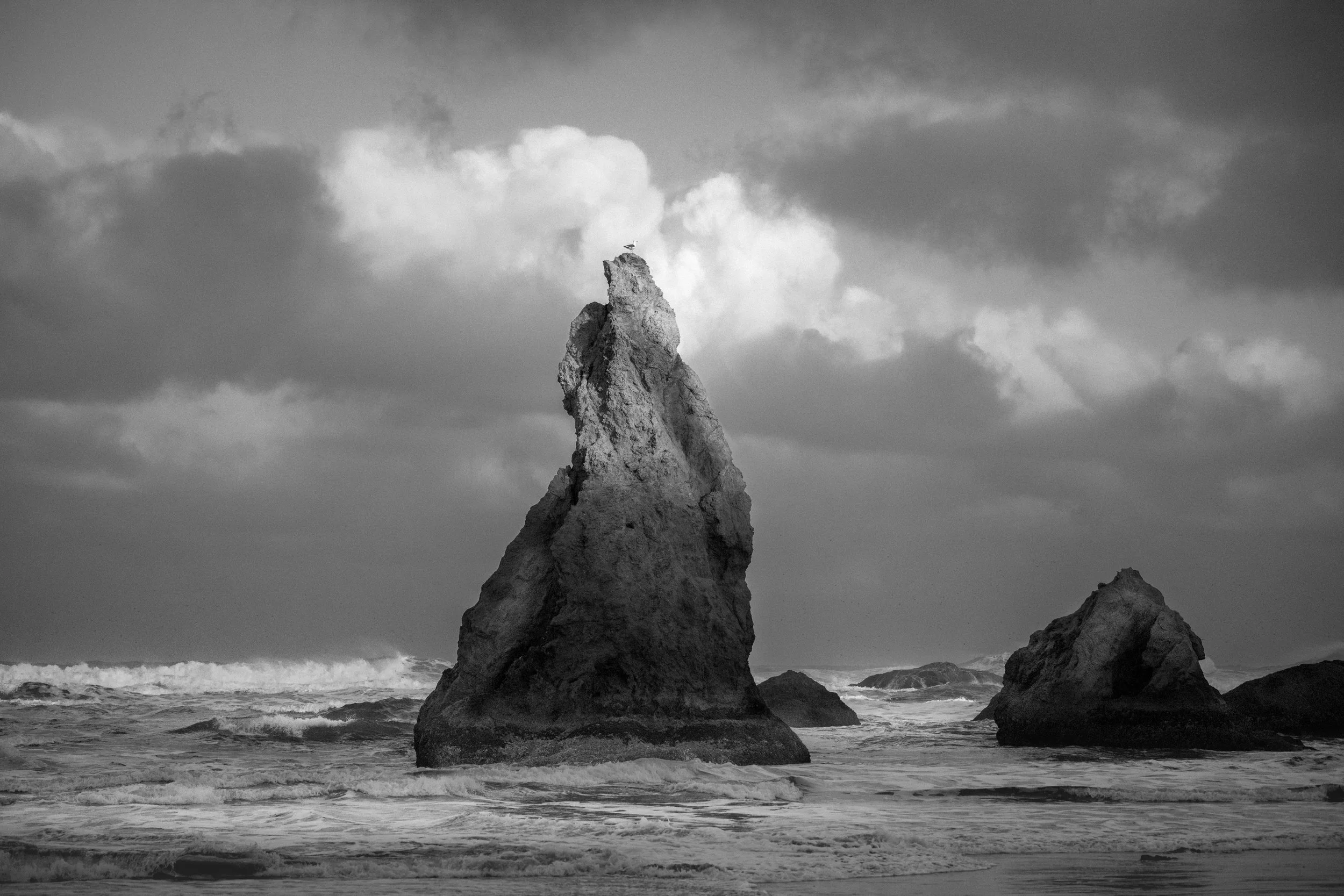 danieljgregory_bw-5892.jpg