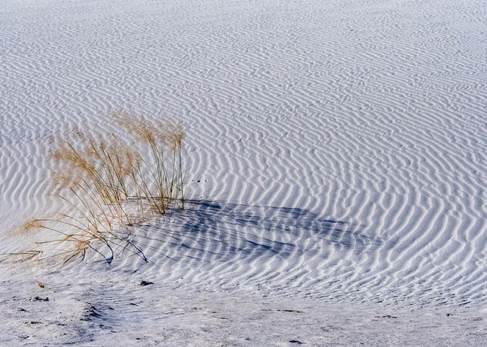 ©Kathy Brand "Abstract in Sand"
