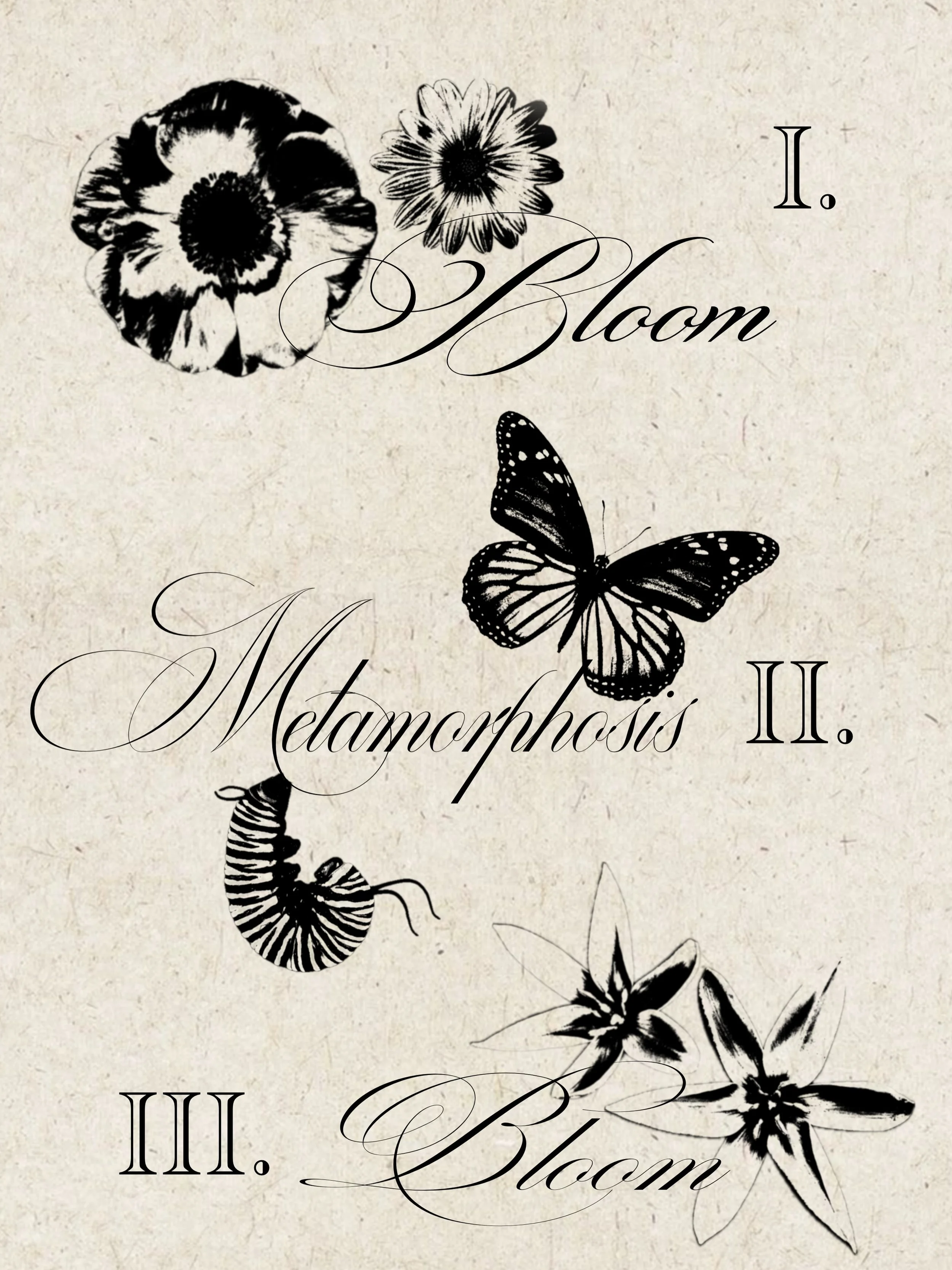 Apprentice @smokenmirrors.art looking for tattoo models for new spring flash designs! Designs can be customized to your liking. Size changes, wording changes, and personal ideas are always welcome!

Limited spots available. If you are interested, ple