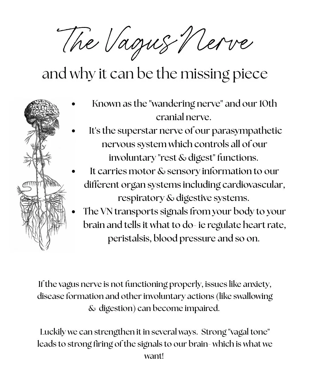 The coolest thing ever is that we are not broken and we can fix the things need some love. 

The Vagus Nerve is powerhouse for our overall well being, and strengthening it is entirely possible.  I mean how cool is that? 

Interested in learning more 