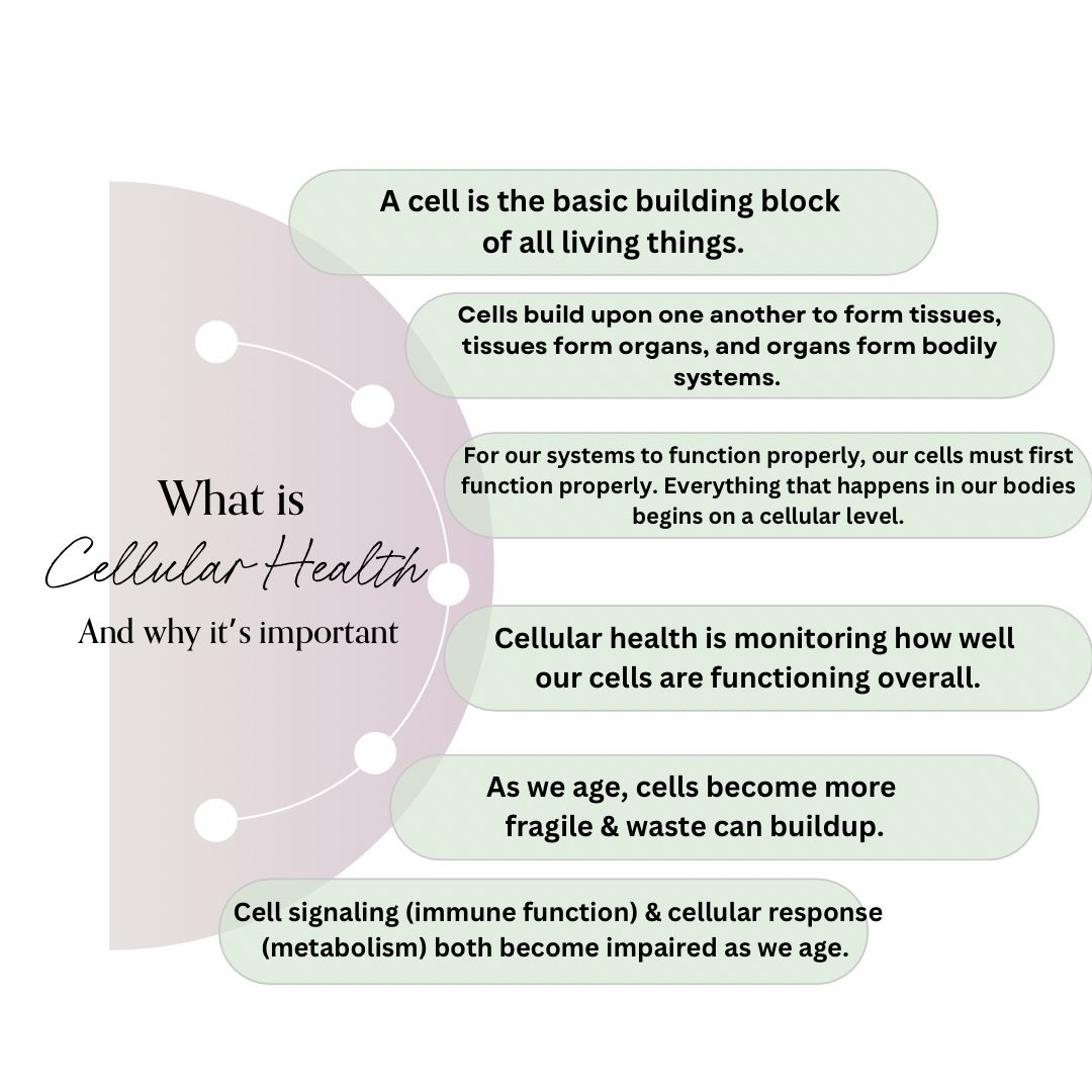 What is Cellular Health and why is it important? Some takeaways: healthy cells= energy ⚡️

🧫Cellular Health is essential to unlocking longevity as we age as cellular health is monitoring how well our cells are functioning overall.&nbsp;
🧫As we age,