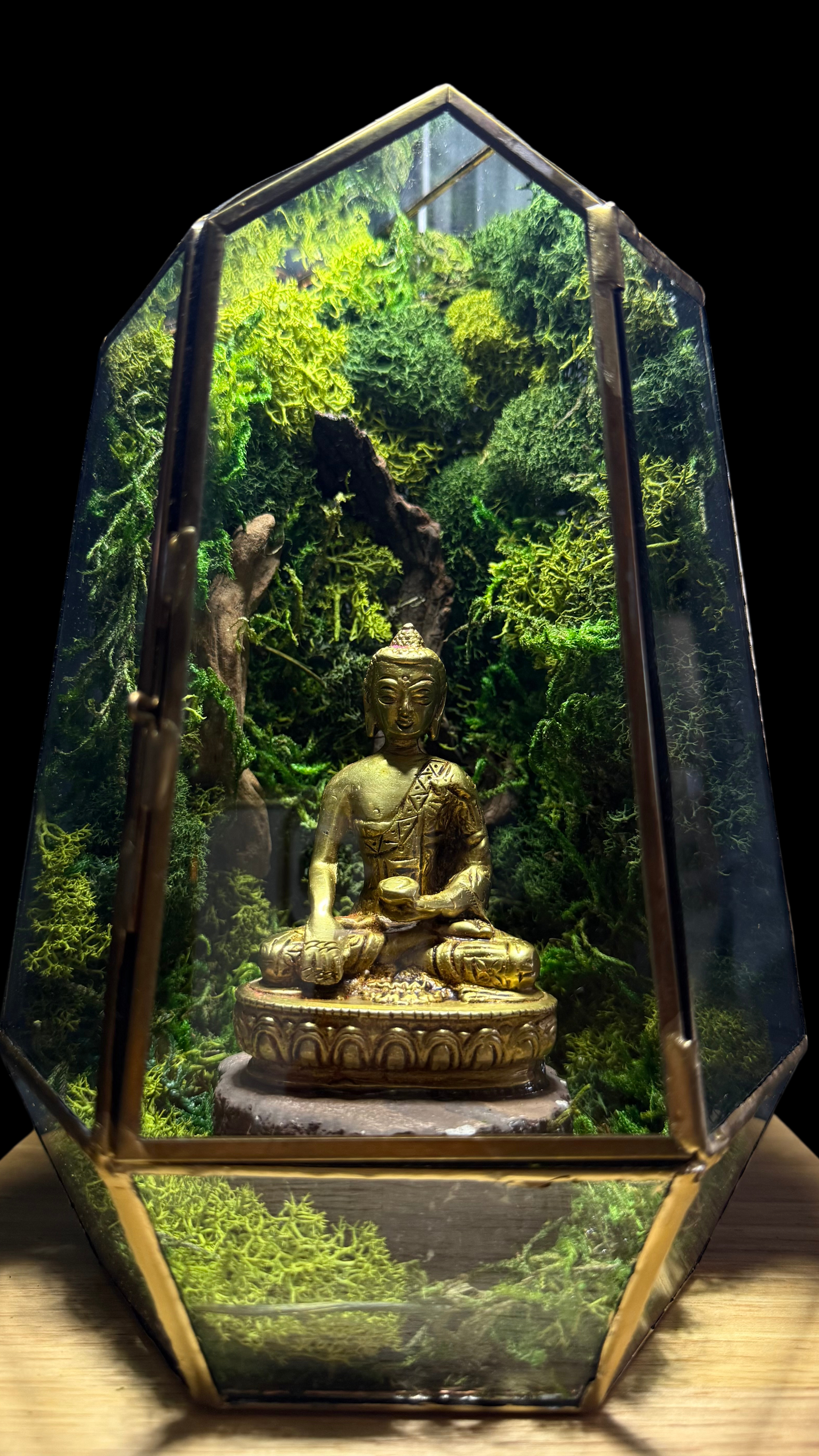 Buddha Terrarium