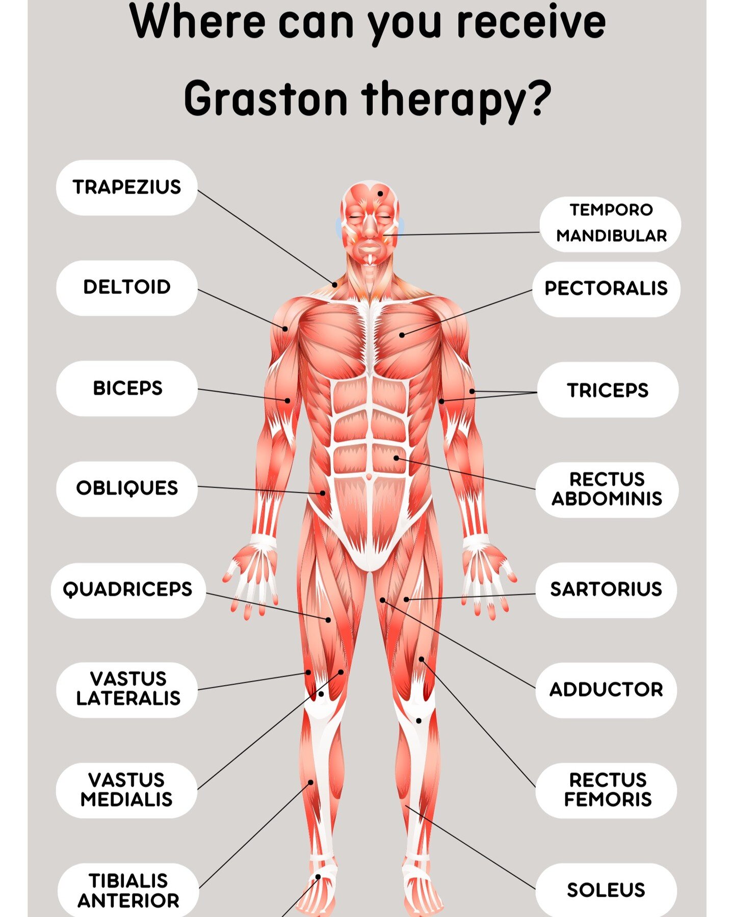 Sometimes it's confusing to know where you can receive Graston therapy, and sometimes it's tough to know if you even need Graston therapy! The Graston Technique helps out numerous stiff muscles that bring you dull aches or cramping - tackle TMJ, elbo
