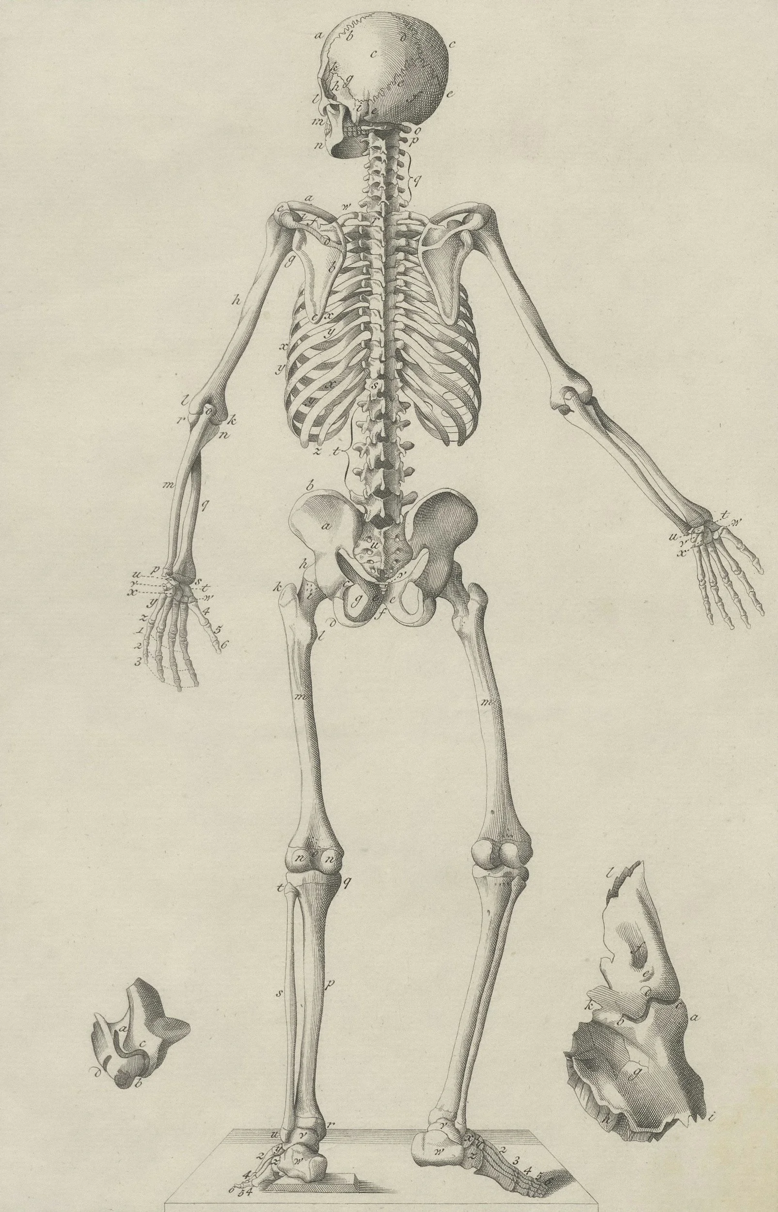 An illustration of a human torso showing internal organs, DNA strands, and molecular structures on a black background.
