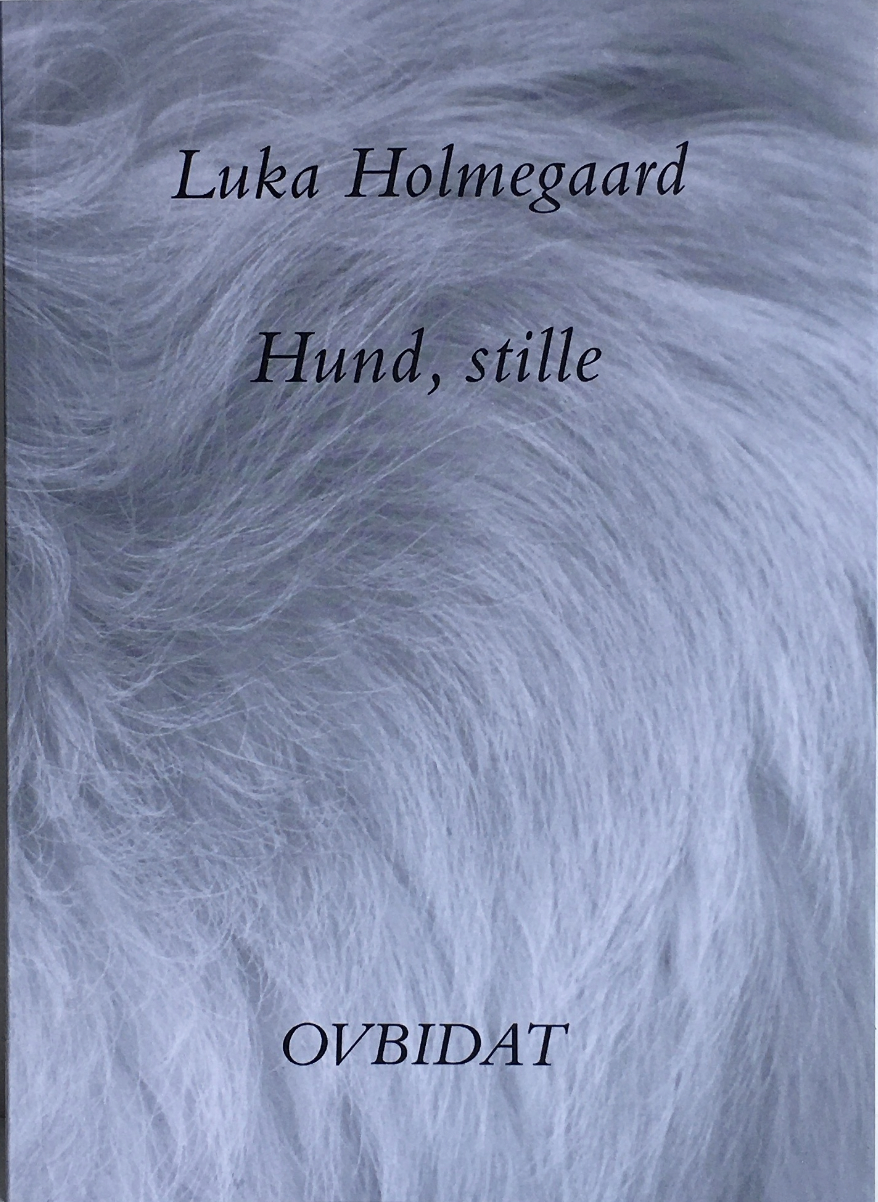 Hund, stille