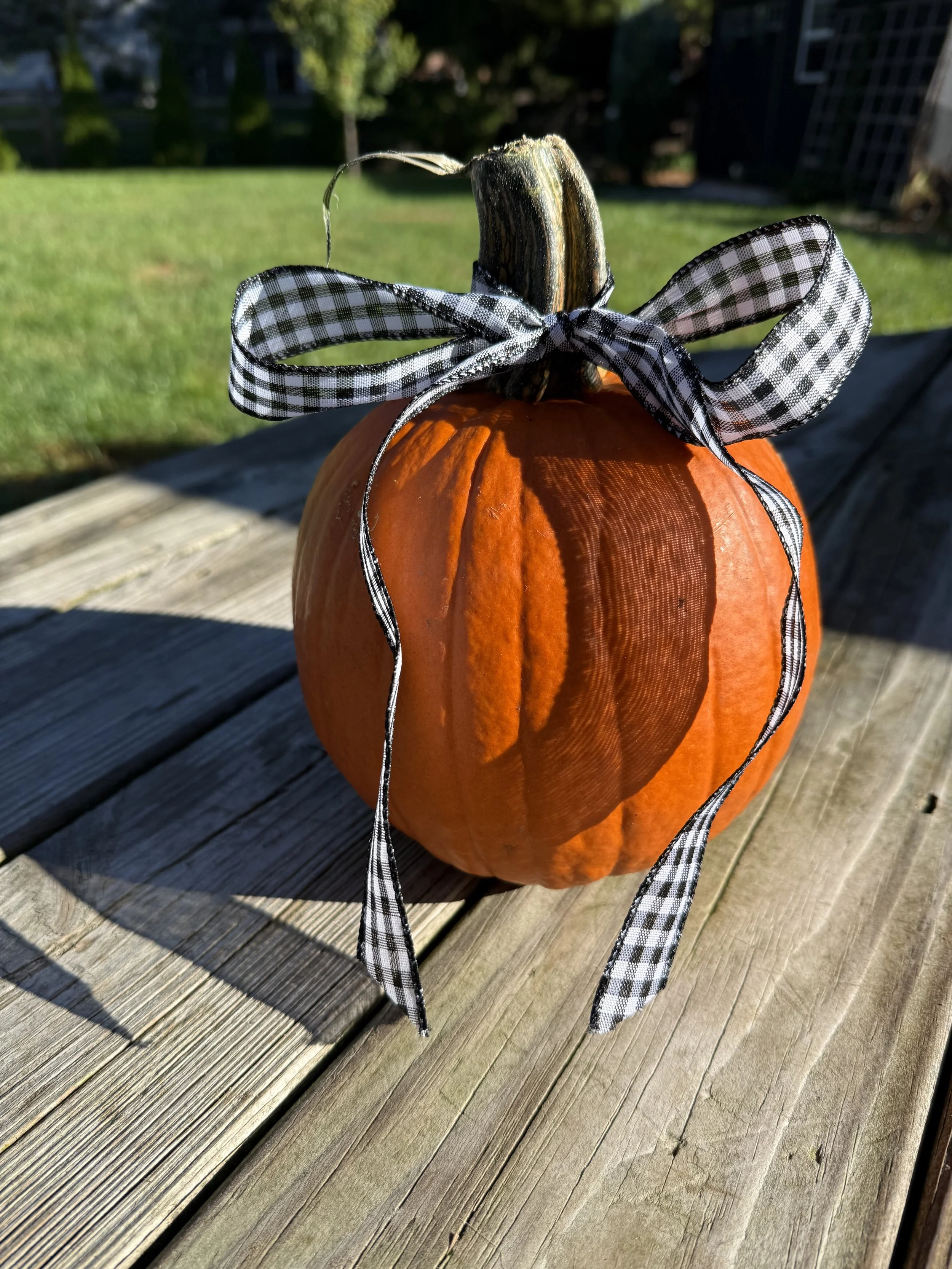 boo pumpkin copy.jpg