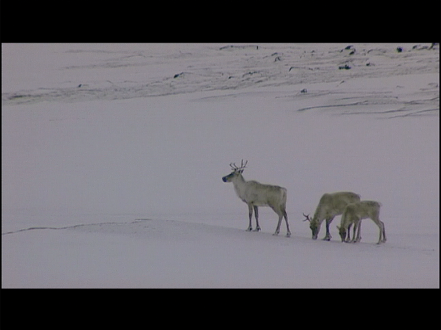 Our Foxe Basin Tour