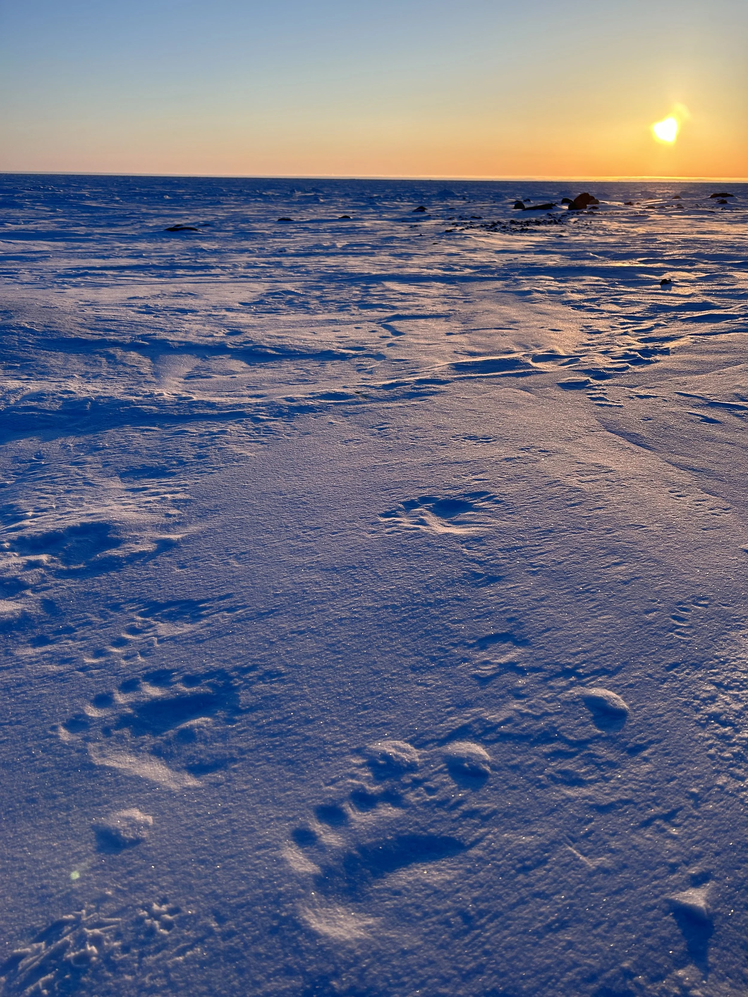 2023-04-07 19.33.40.jpg