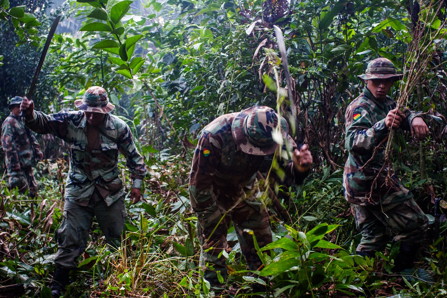Bolivan army troops eradicate coca in the Chapare of Bolivia on August 10, 2005.