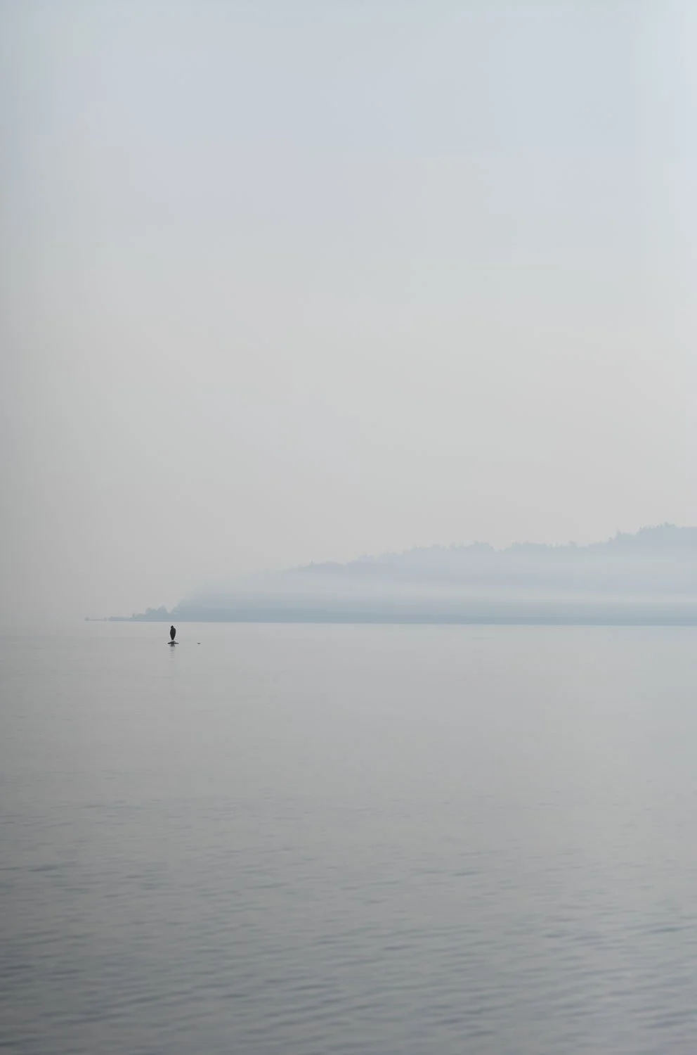 A blue heron is perched in the Hood Canal as smoke settles from the Bear Gulch Fire in Washington State, USA on August 12, 2025.