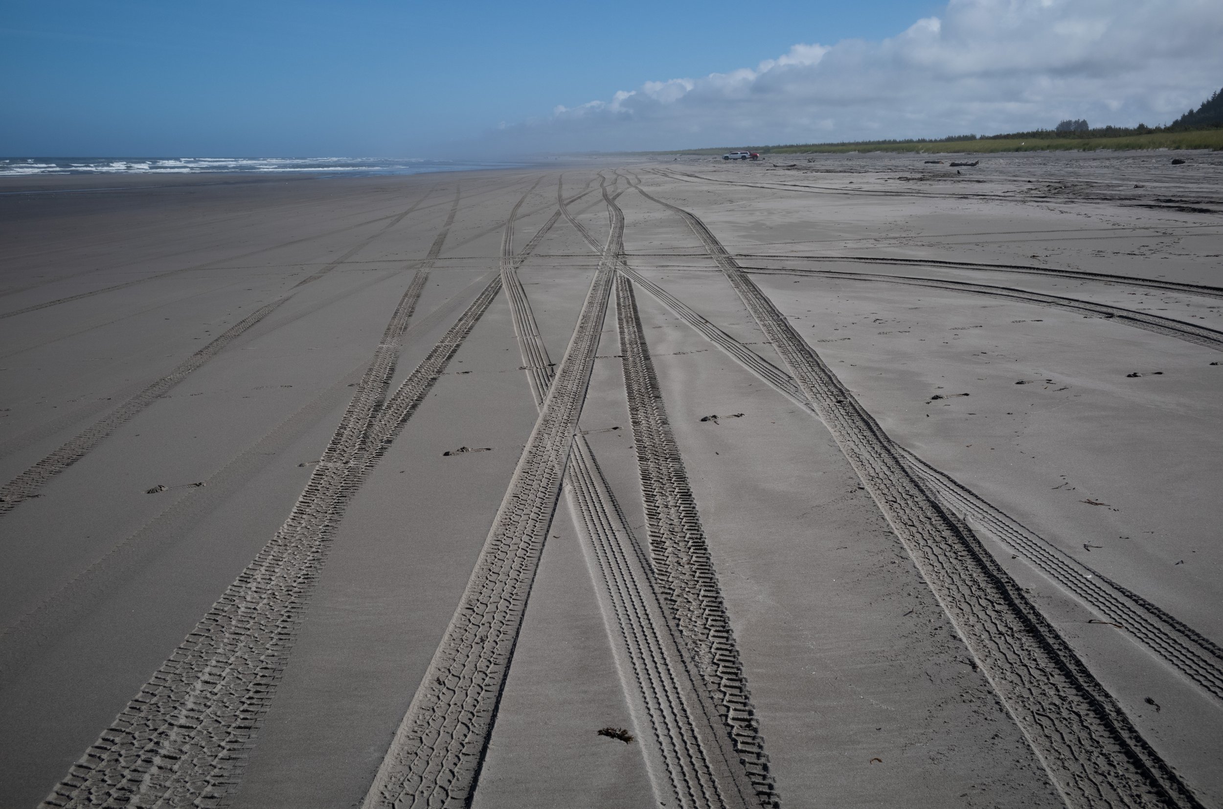  Car tracks on the beach of southern Washington State, USA on July 1, 2023. 