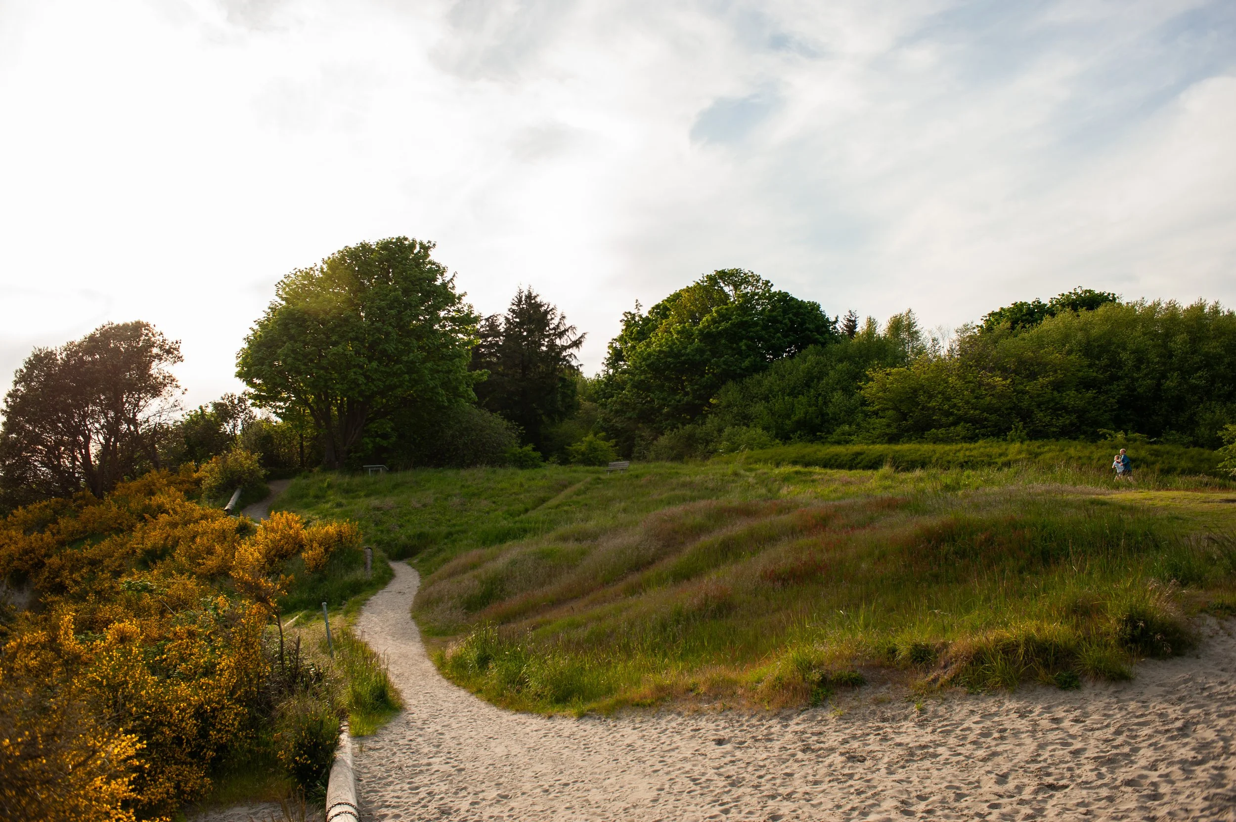  Discovery Park in Seattle, Washington, USA on May 24, 2011. 