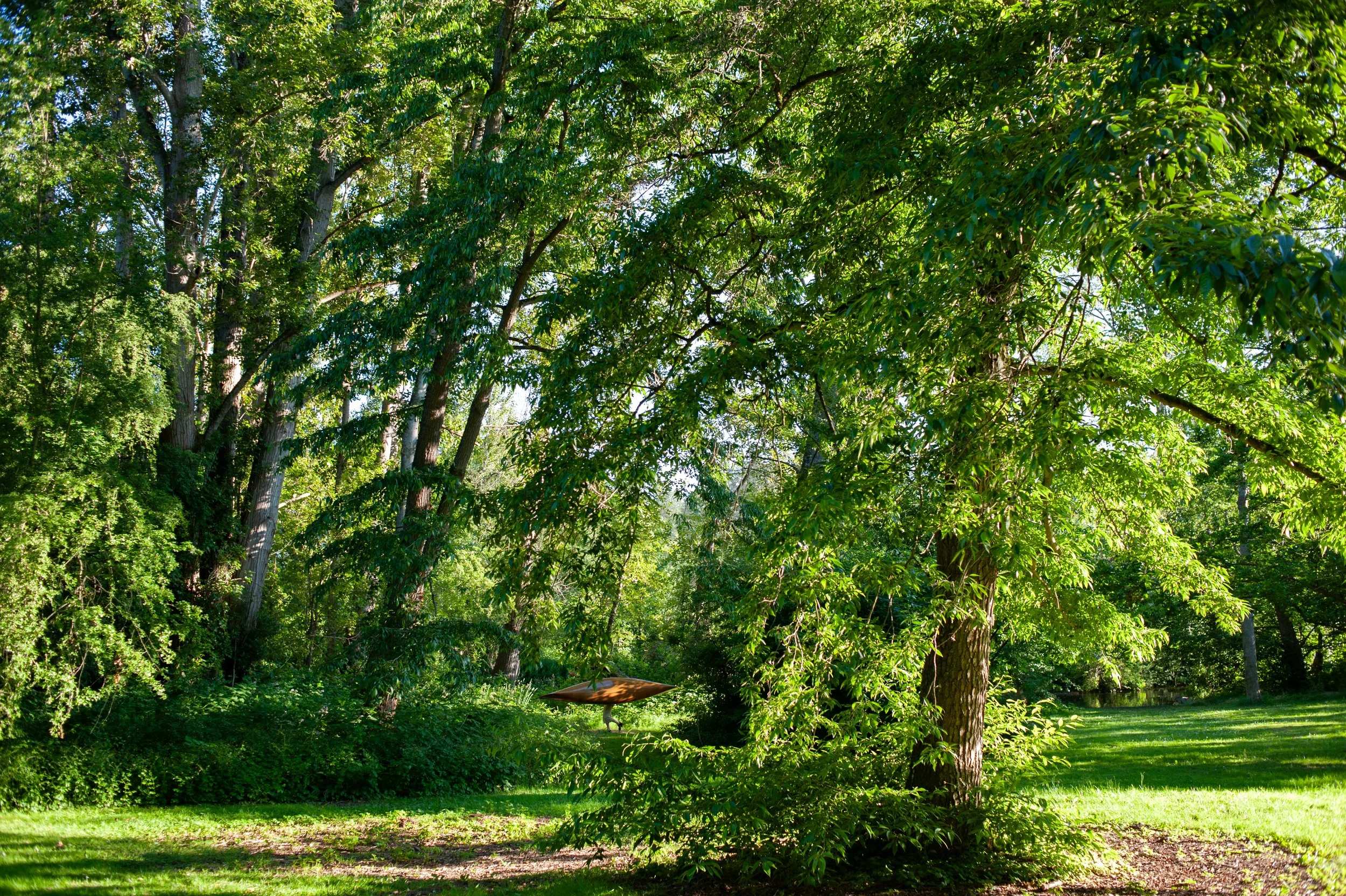  A recreational boater portages through the Washington Park Arboretum in Seattle, Washington, USA on July 6, 2011. 