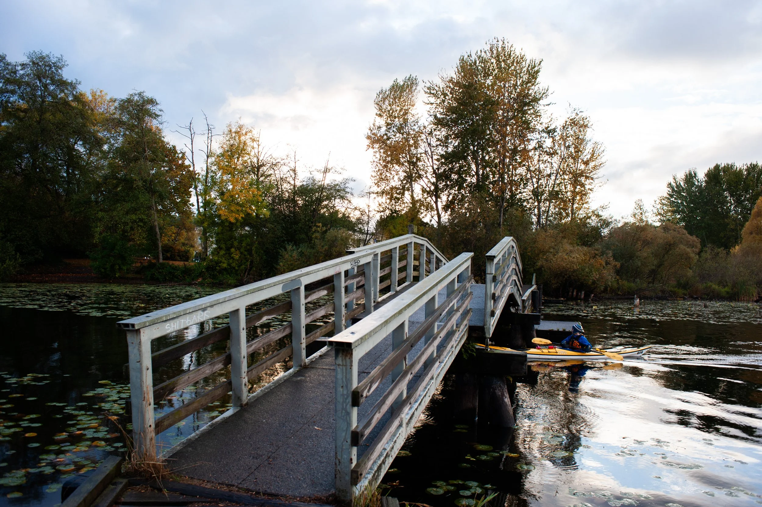  A kayaker passes through the Washington Park Arboretum in Seattle, Washington, USA on October 21, 2012. 