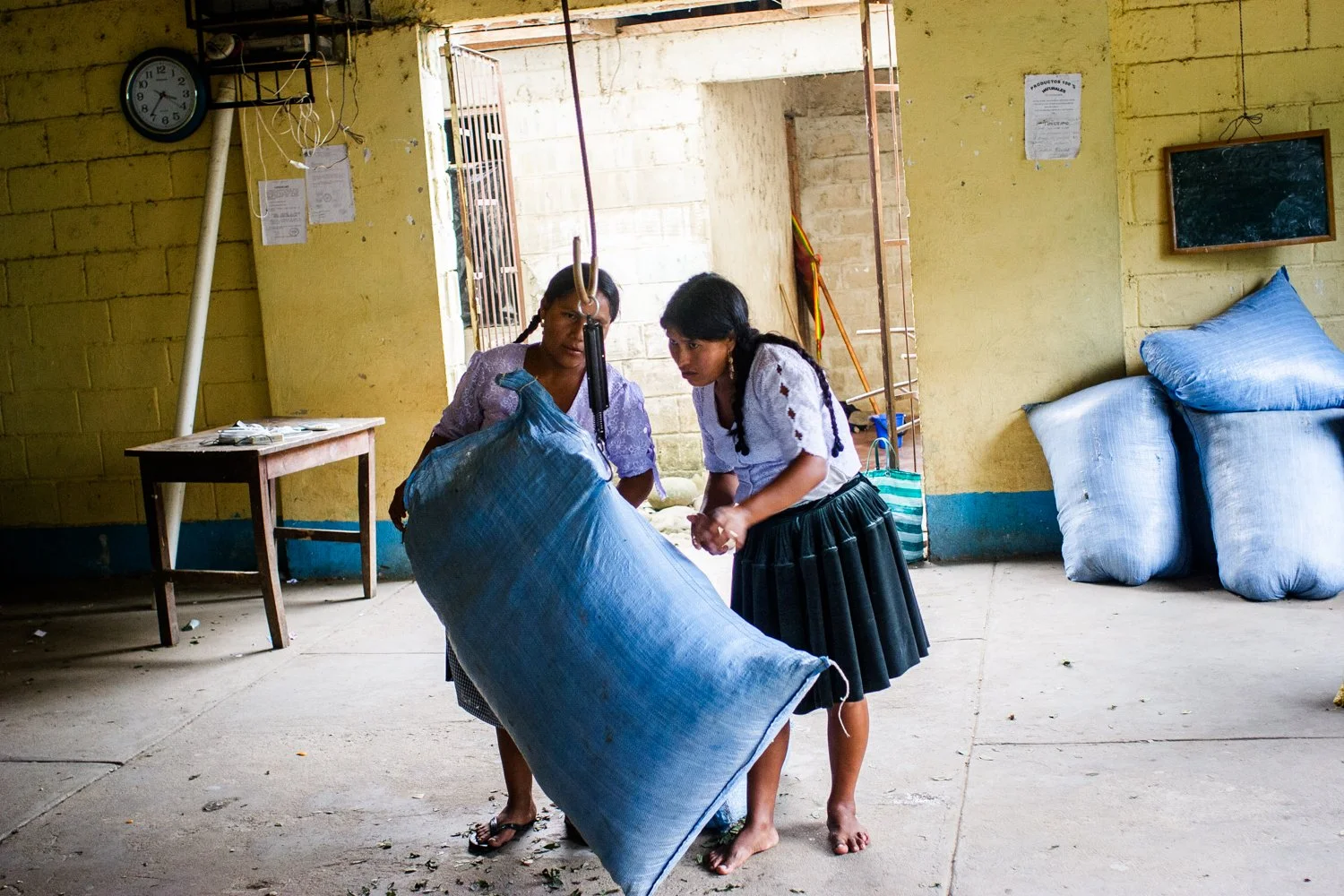 Women bag coca leaves for chewing at the Federation in Chimore in Cochabamba, Bolivia on August 6, 2005.