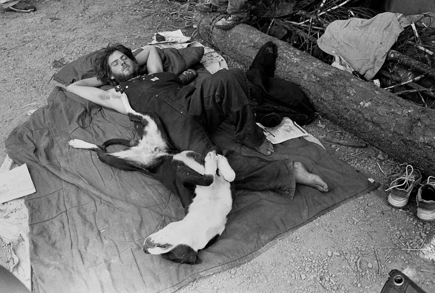 Cow-for-Now relaxes with a dog at the Fall Creek tree-sit in the Willamette National Forest, Oregon, USA in 2001.