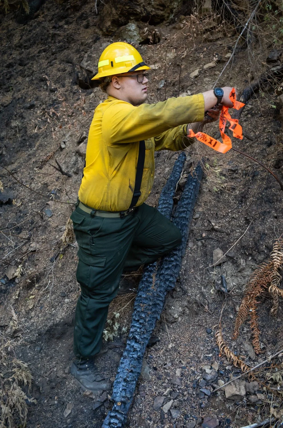 Crew from Northridge Wildfire flag dangerous trees during the Bear Gulch Fire in Washington State, USA on August 22, 2025.