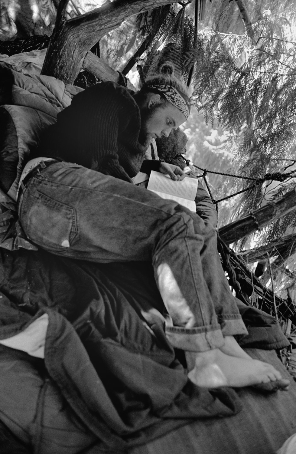 Steven reads while occupying a cedar tree in the mountains of Oregon, USA in 2001.
