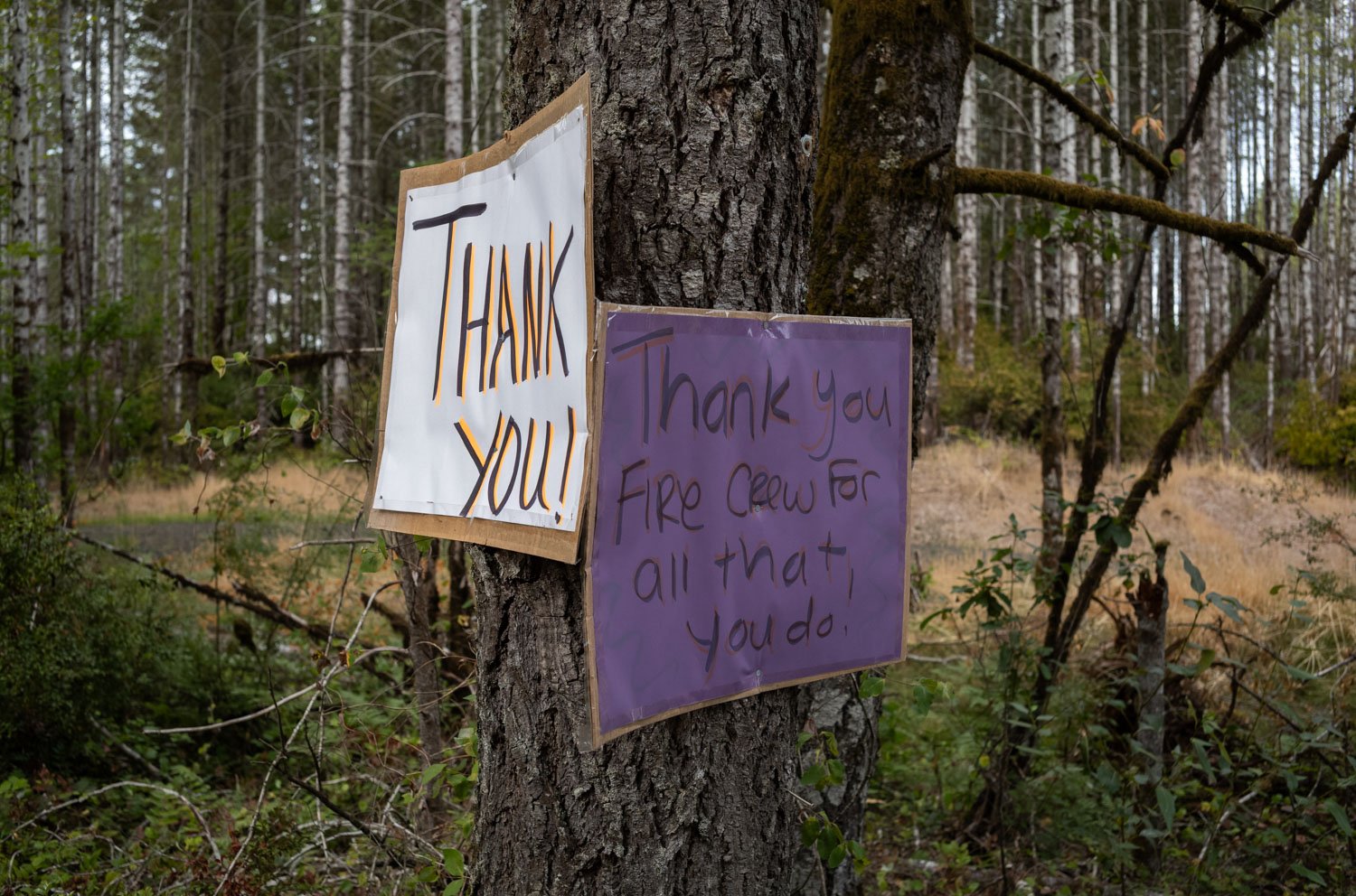 Signage for wildland firefighters near the Bear Gulch Fire in Washington State, USA on August 5, 2025.