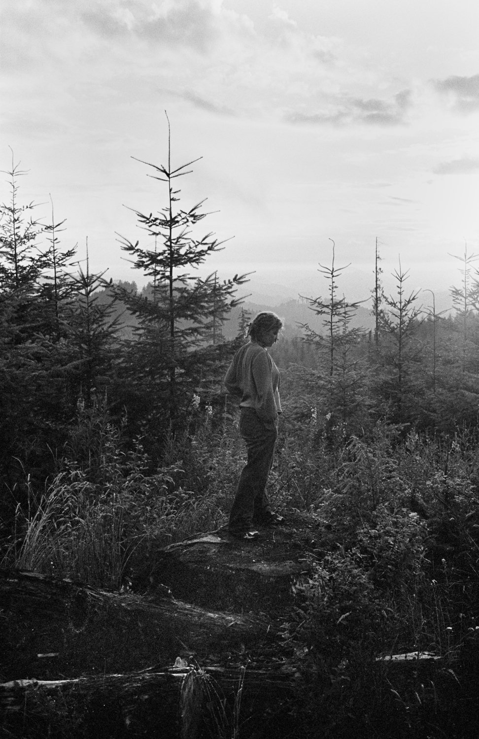 A young woman explores a clear-cut in the WIllamette National Forest of Oregon, USA in 2001 near the Winberry grove, which was protected by activists.