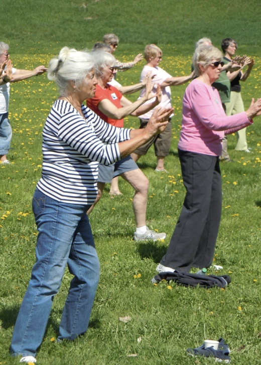 Virtual Tai Chi