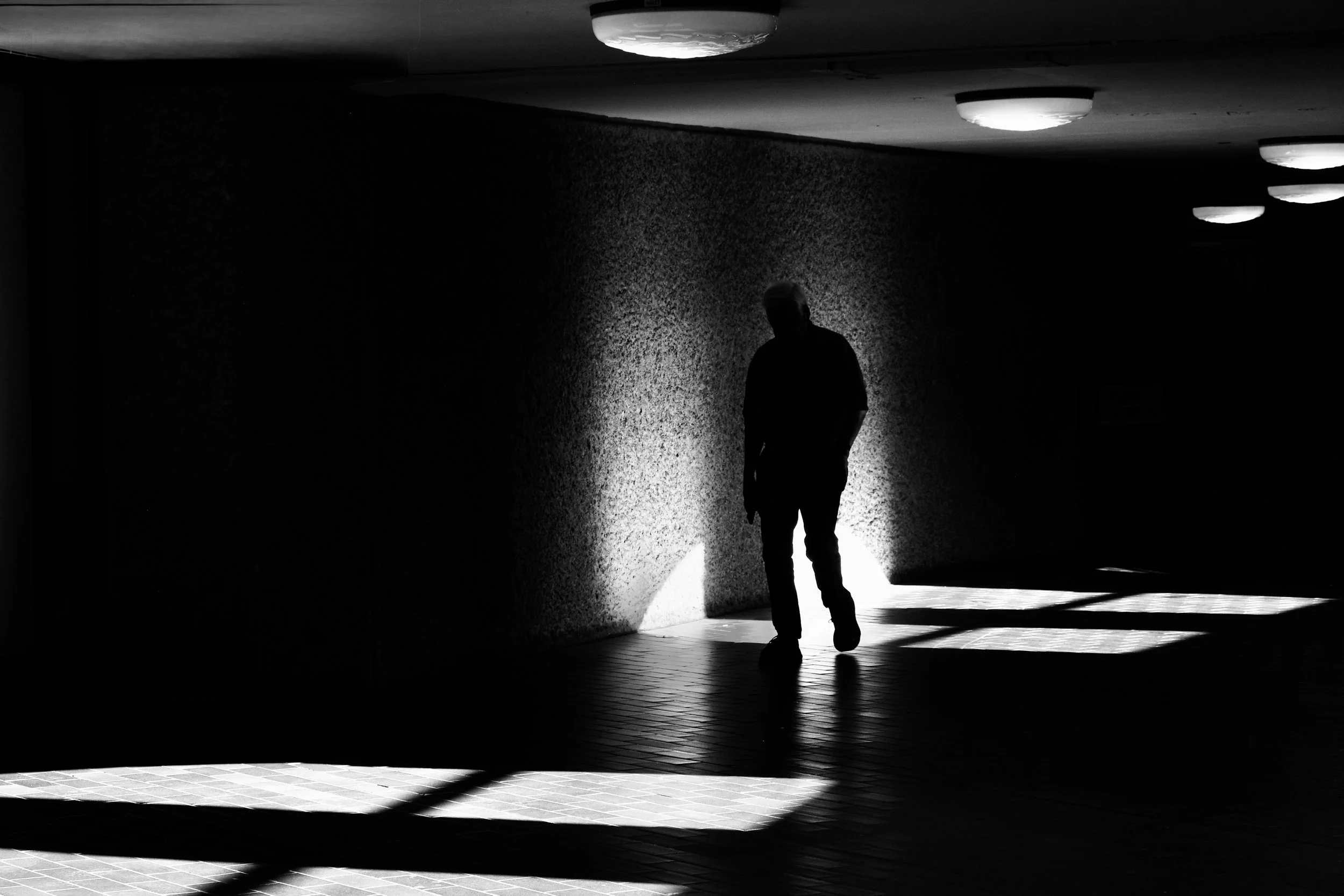 A year of photography