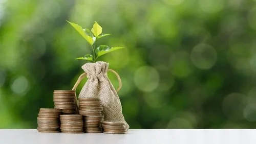 ‘Magic Money Trees’ for UK authors: is there a payment waiting for you?