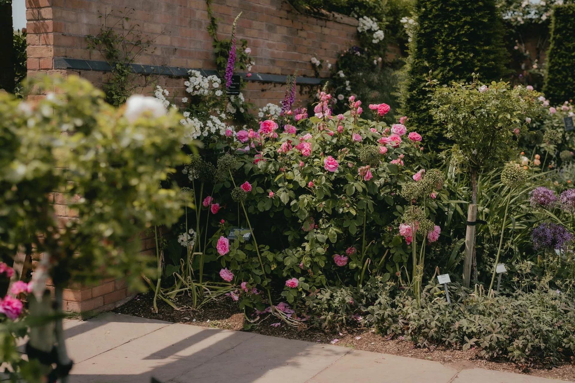 David Austin Gardens and Gertrude Jekyll-18.jpg