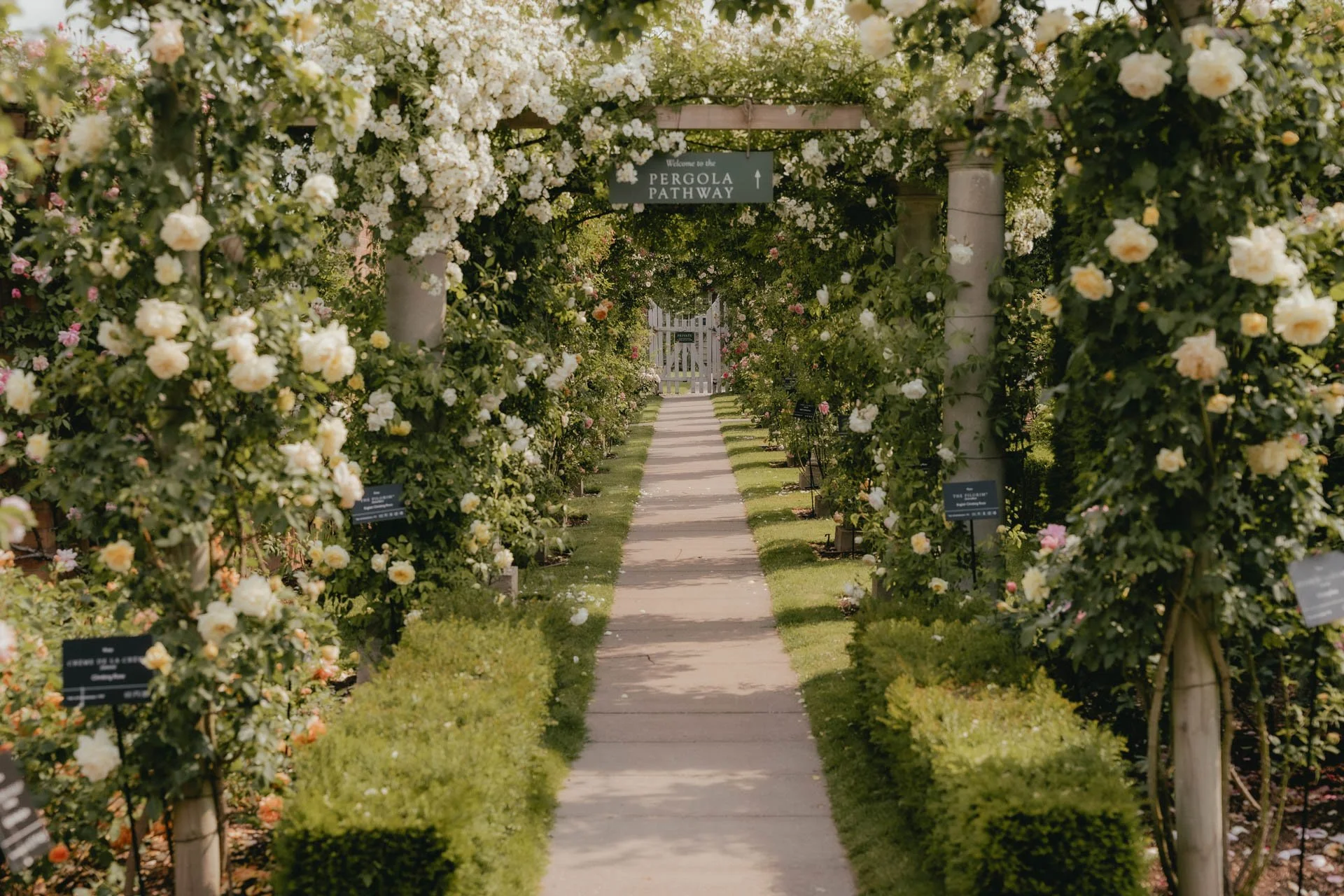David Austin Gardens and Gertrude Jekyll-1.jpg