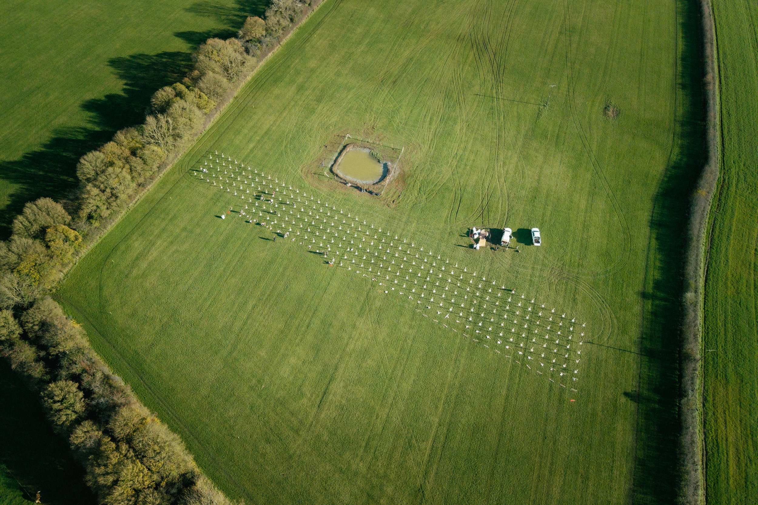 Tree Planting - Jake Bufton Photography & Film - National History Consortium-19.jpg