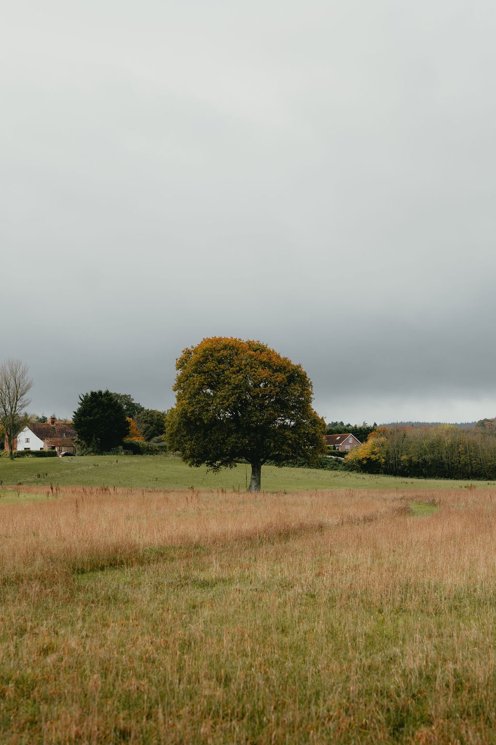 Highlights-EllyandAaron-QuantockLakes-17thNovember2023-JakeBuftonPhotography&Film-3.jpg