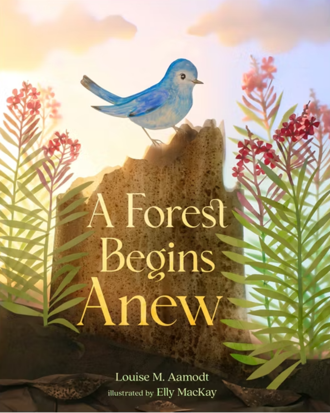 A book cover reads, "A Forest Begins Anew by Louise M. Aamodt, illustrated by Elly MacKay." The image shows wildflowers surrounding a songbird perched atop a tree stump.