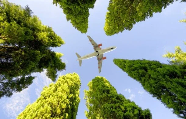 greenplane.jpg