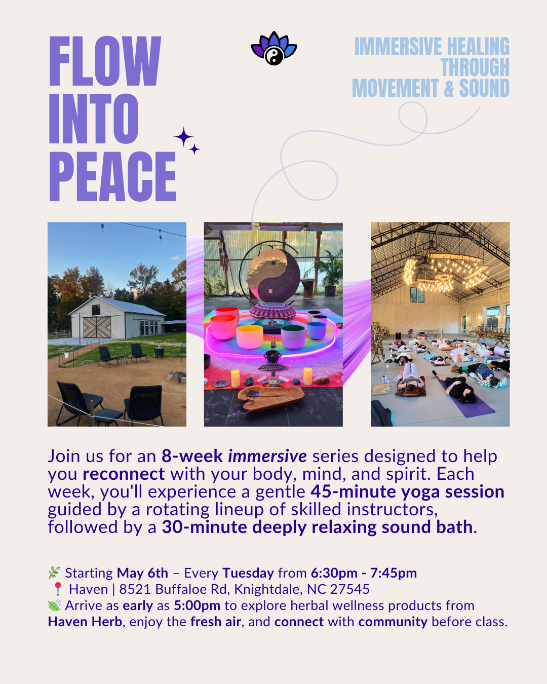 FLOW INTO PEACE VIBRANT ZEN x HAVEN.png