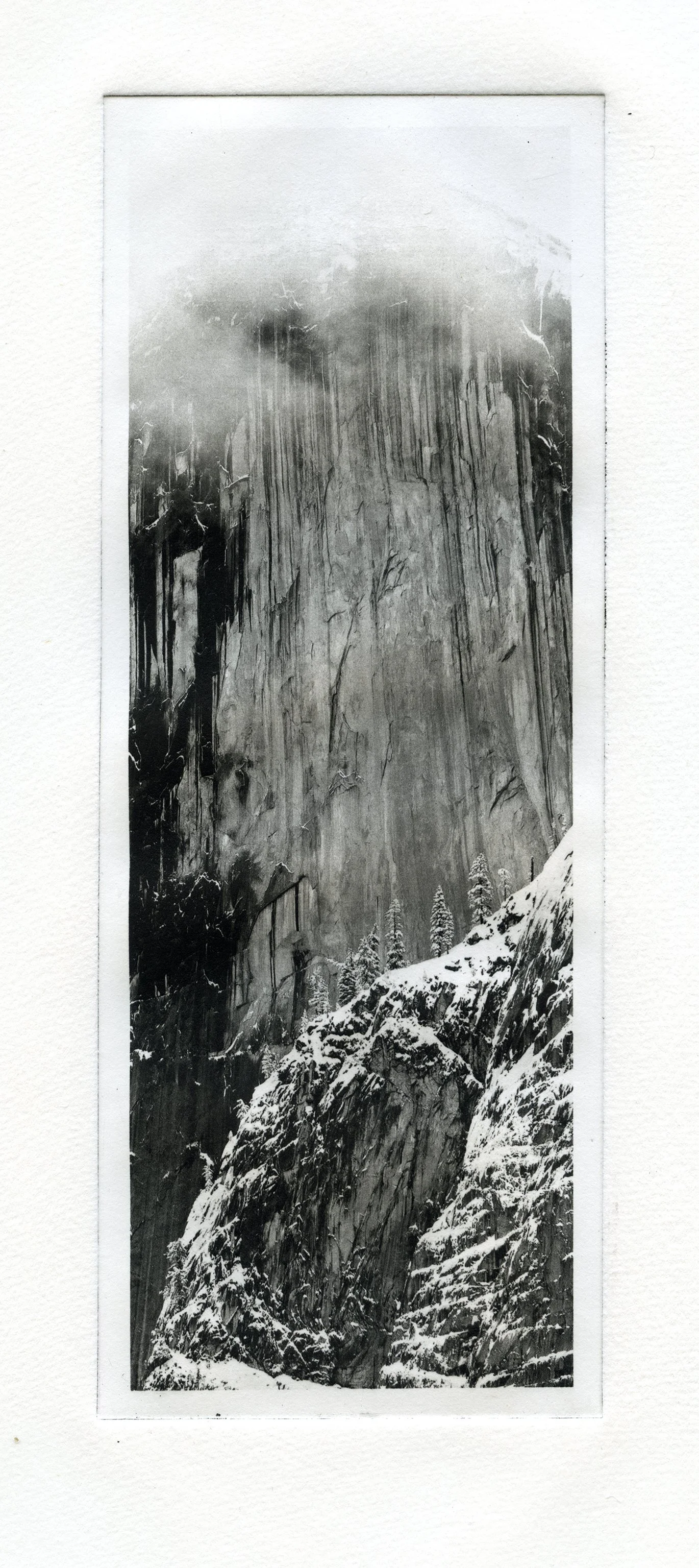 37degrees-plate5.jpg
