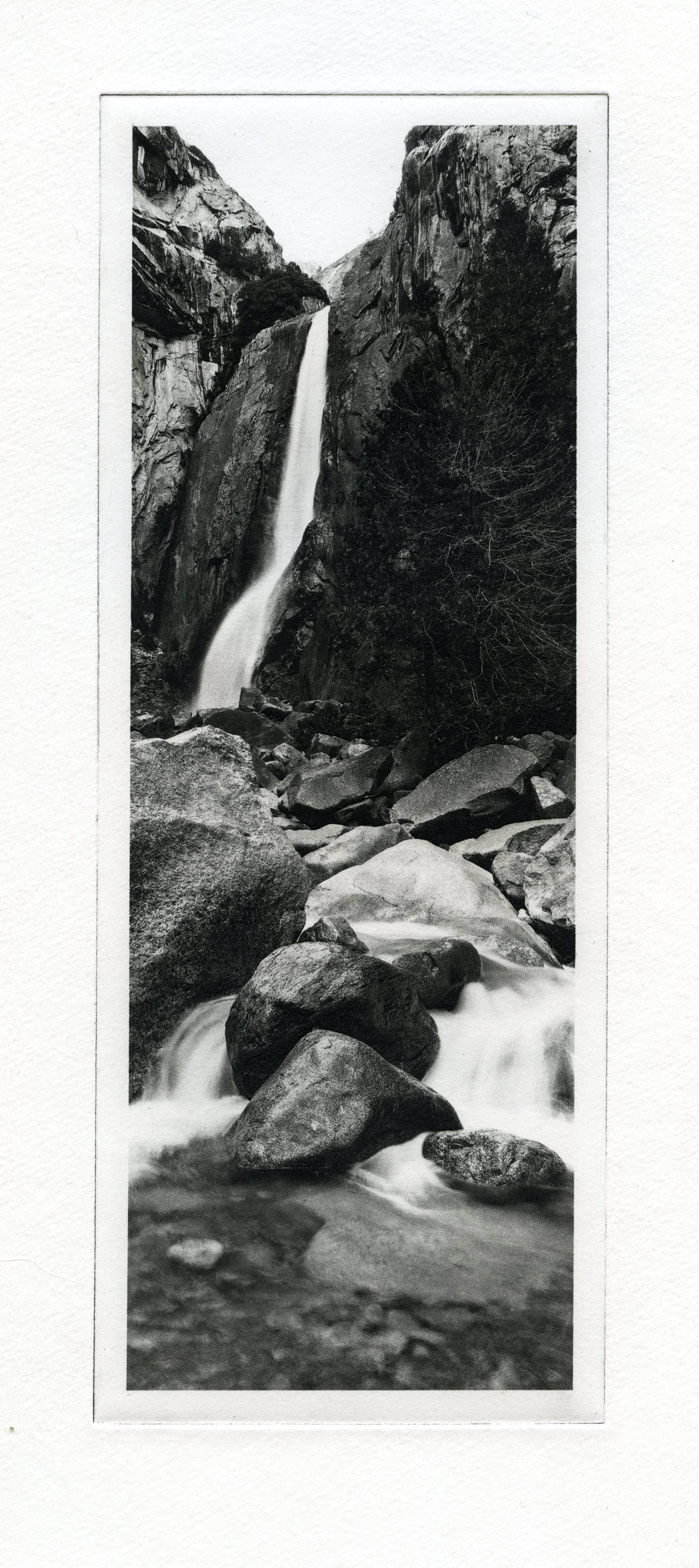 37degrees-plate1.jpg