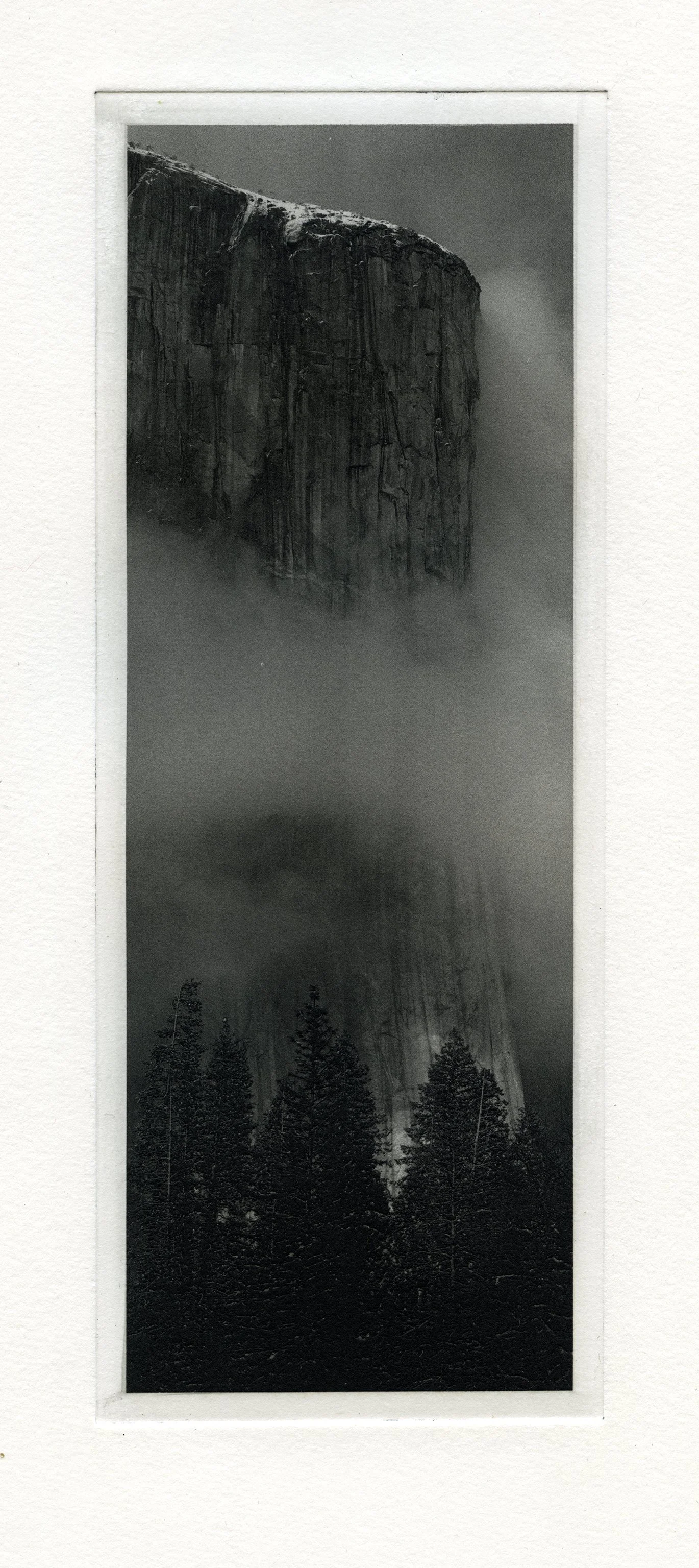 37degrees-plate6.jpg