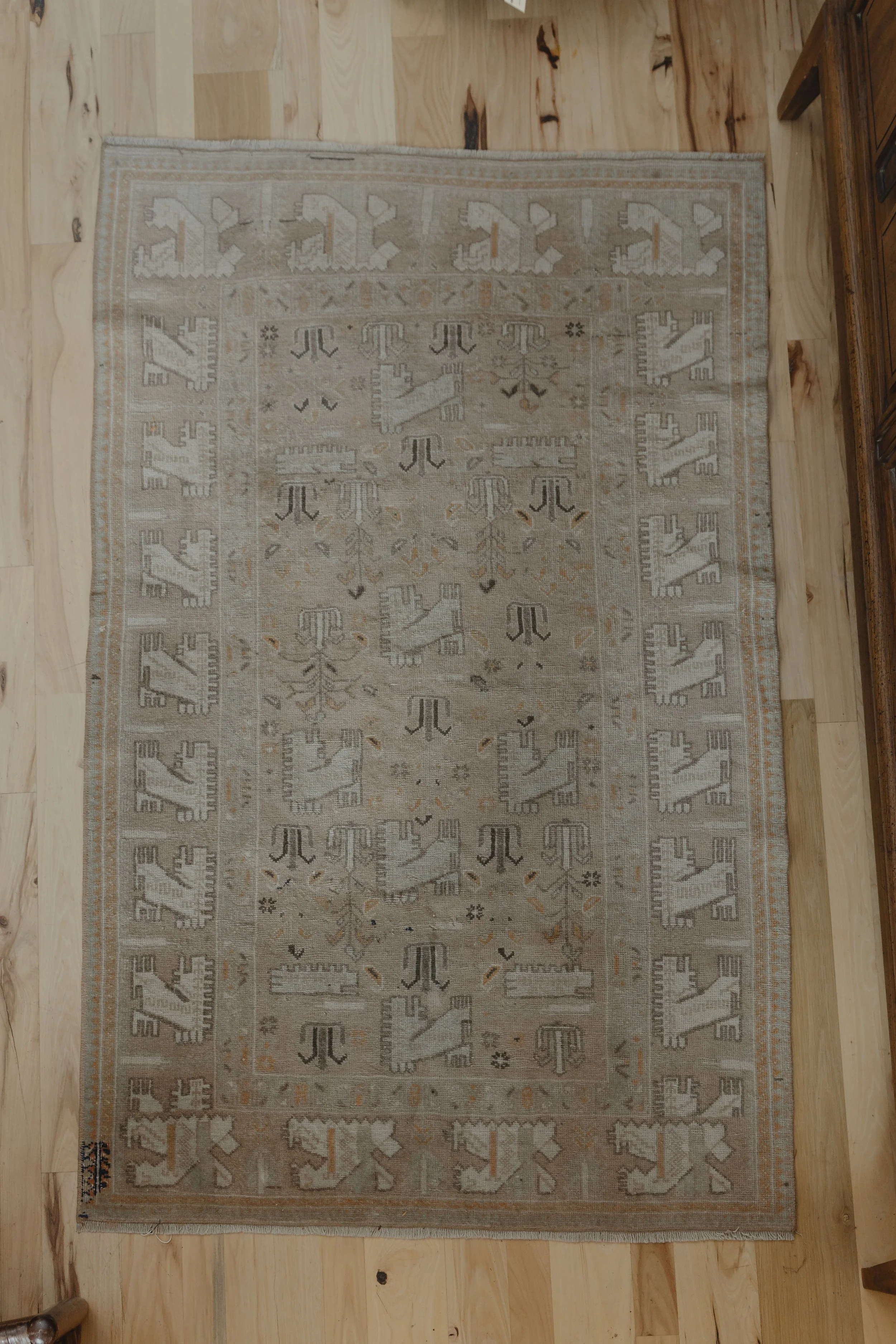 NDP T42 rugs-26.jpg