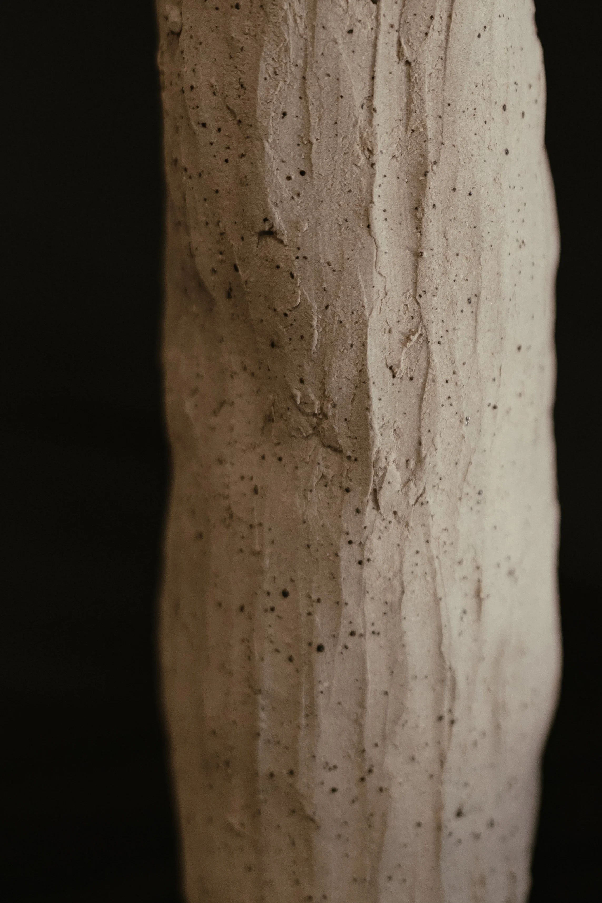 NDP 2026 t42.3.26-357.jpg