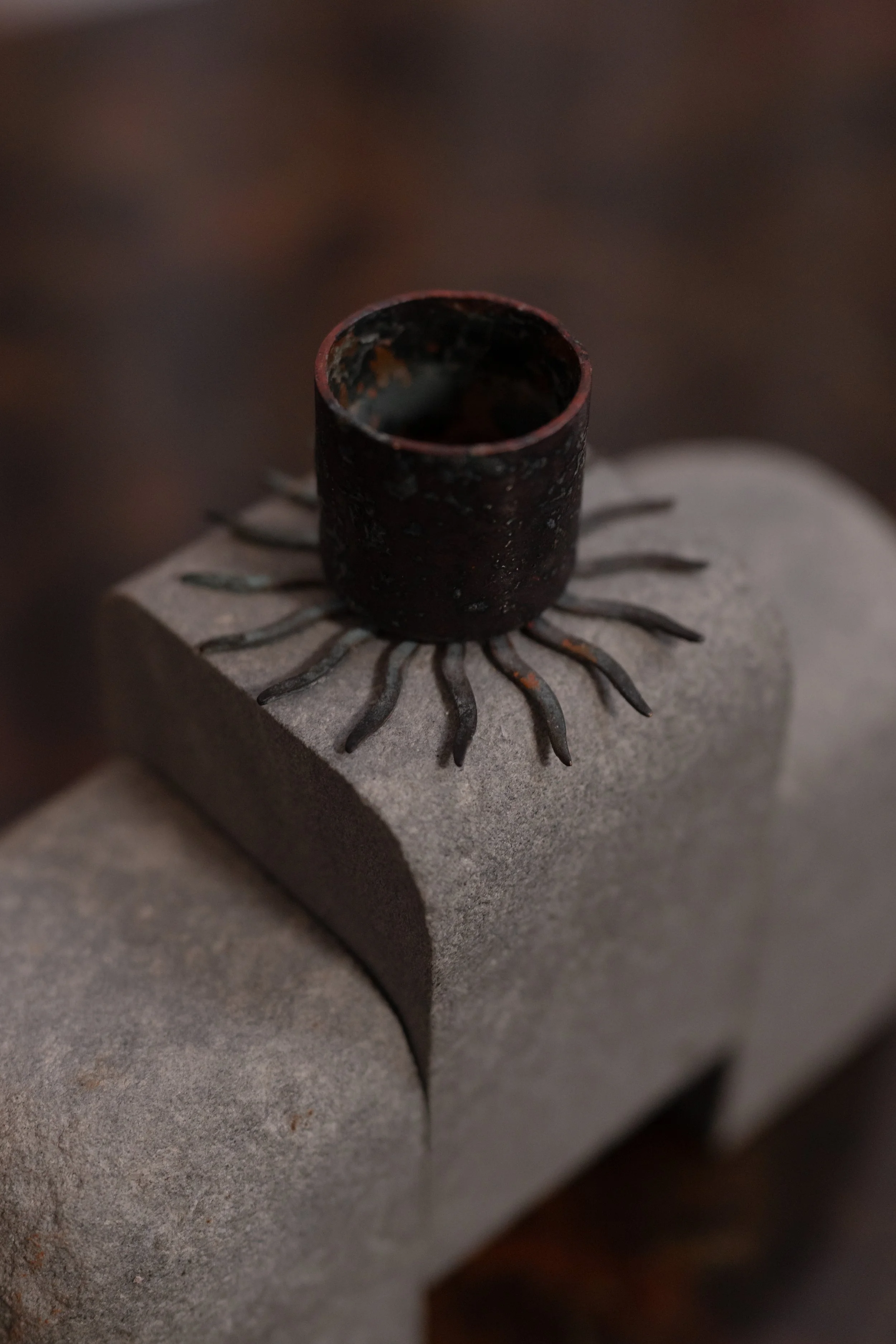 NDP 2026 t42 feb-355.jpg