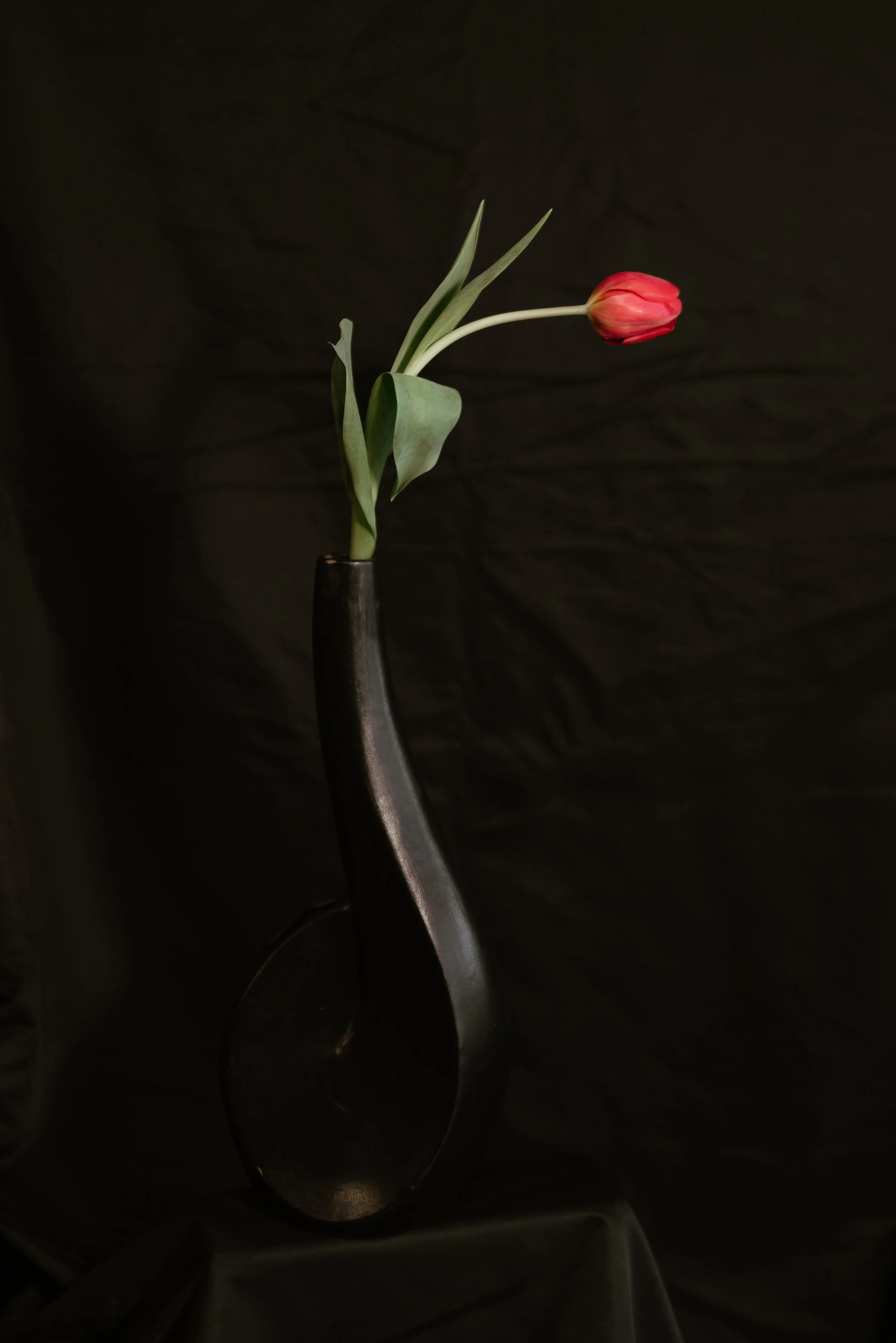 NDP 2026 t42.3.26-333.jpg