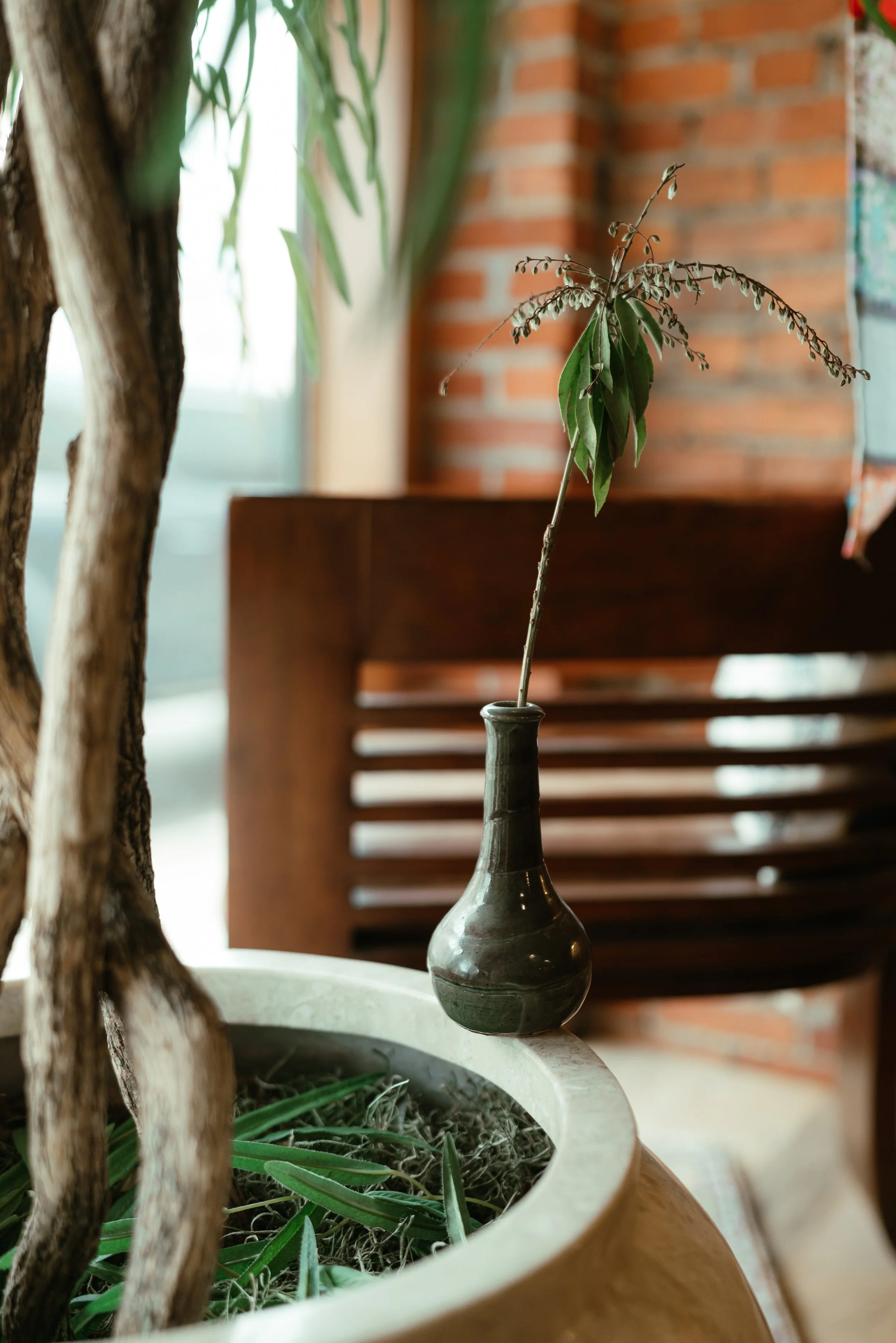 NDP 2026 t42.3.26-403.jpg