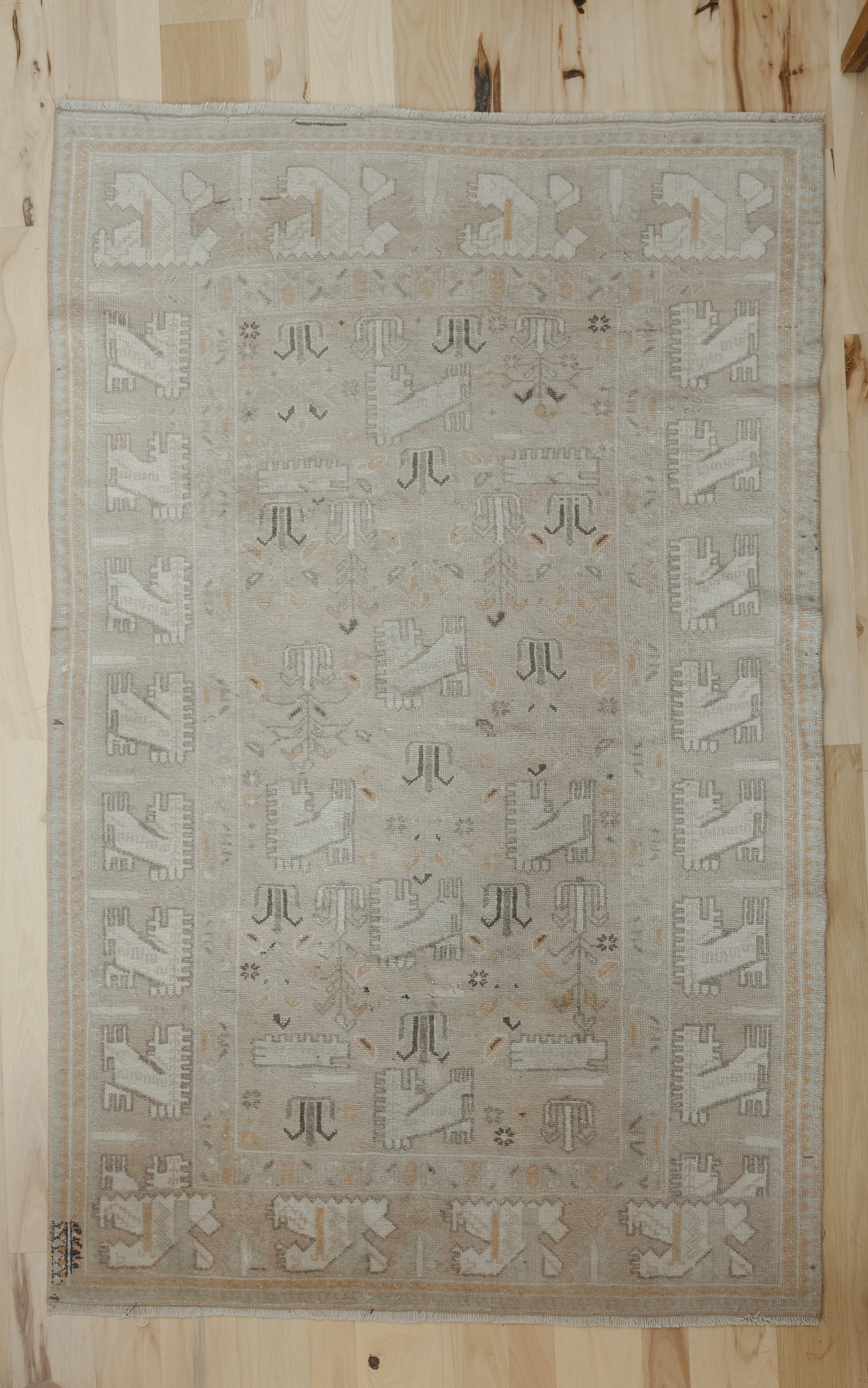 NDP T42 rugs-27.jpg