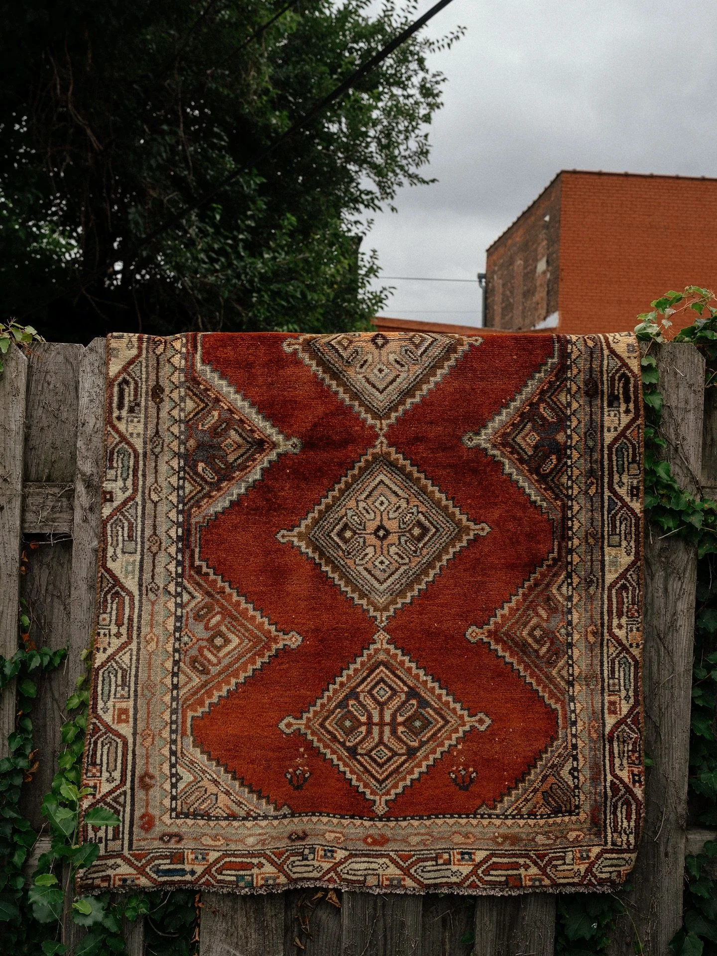 This vintage rug is giving all the autumnal vibes. Looking to warm up your feet as the cooler months set in? Swing in the shop today to see what other rugs we have in stock.