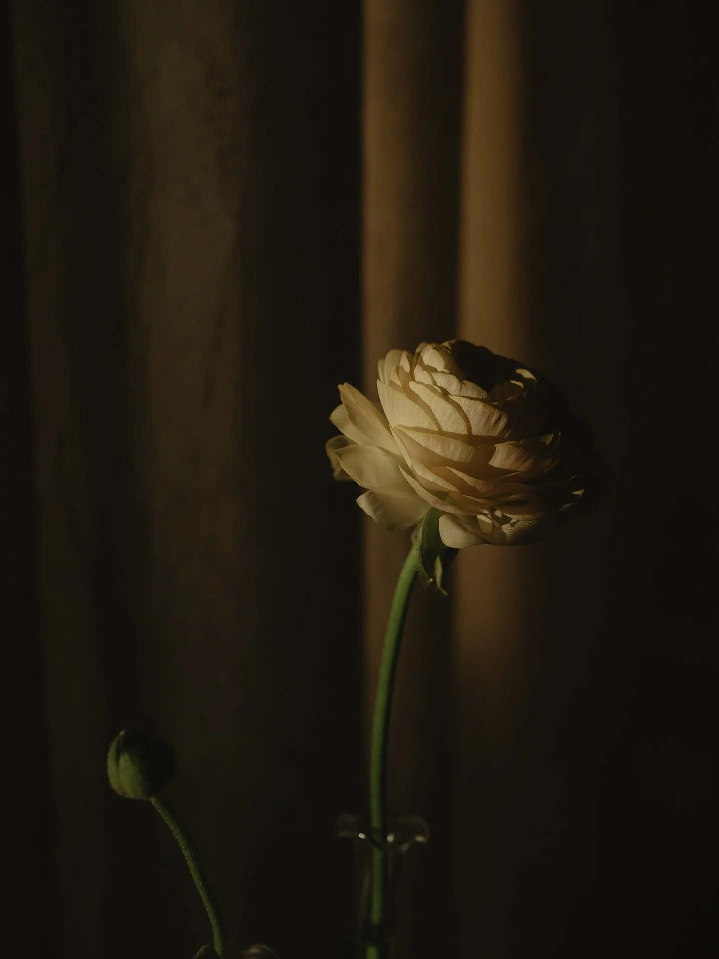 Join us Saturday, November 22 at 6pm for a floral centerpiece &amp; styling workshop! 
⠀⠀⠀⠀⠀⠀⠀⠀⠀
@lejardinklein and @tablefor2.cle for blooms and styling tips! 
⠀⠀⠀⠀⠀⠀⠀⠀⠀
Blooms, vintage vessels, and light refreshments will be provided. 
⠀⠀⠀⠀⠀⠀⠀⠀⠀
Ti