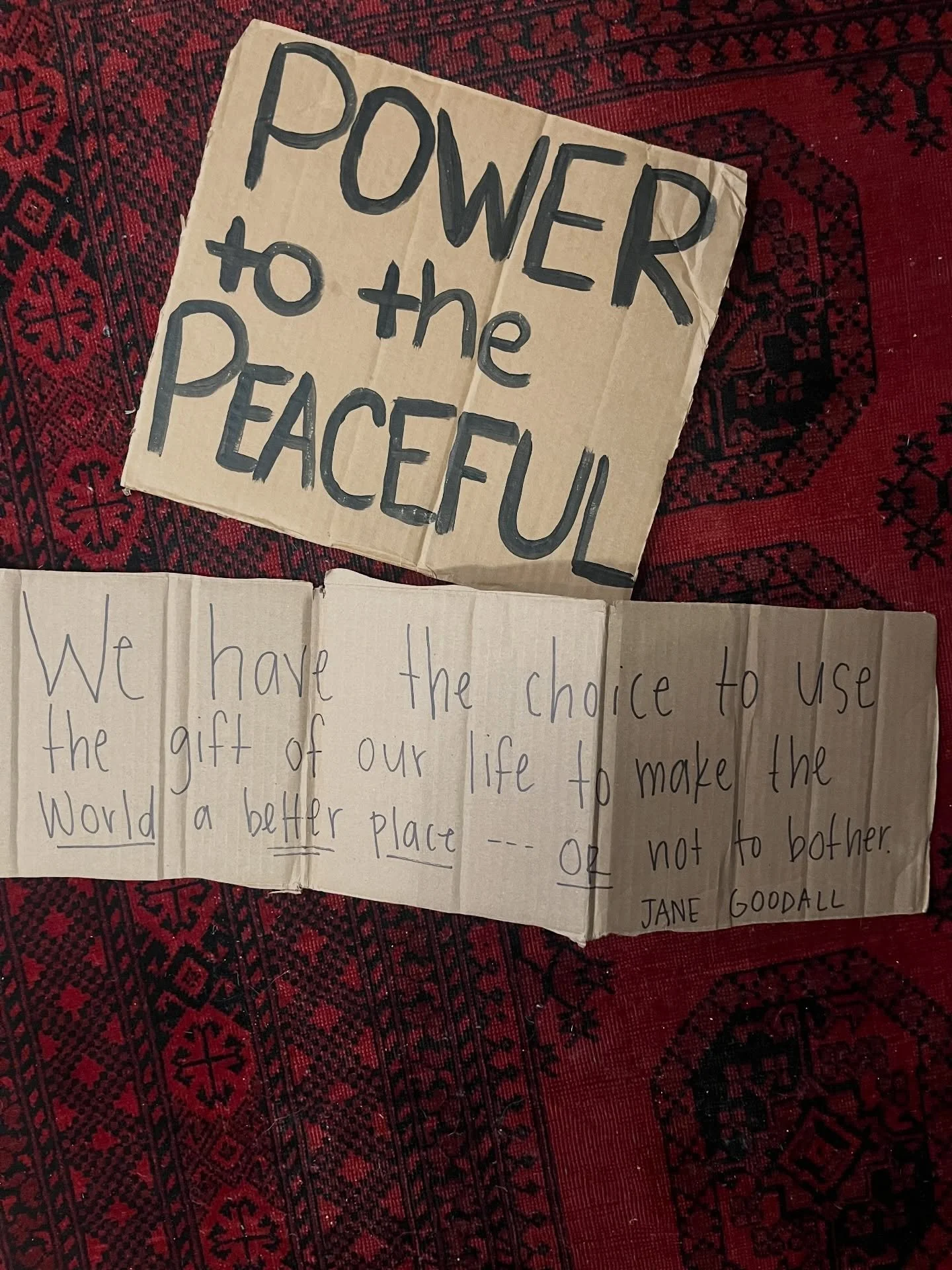 The shop will be closed tomorrow, 1/30/26. We stand with the nationwide general strike. 

We are stronger together. Community over business. 

If you are unsure where to begin or how to make your voice heard, organizations like @5calls + @indivisible