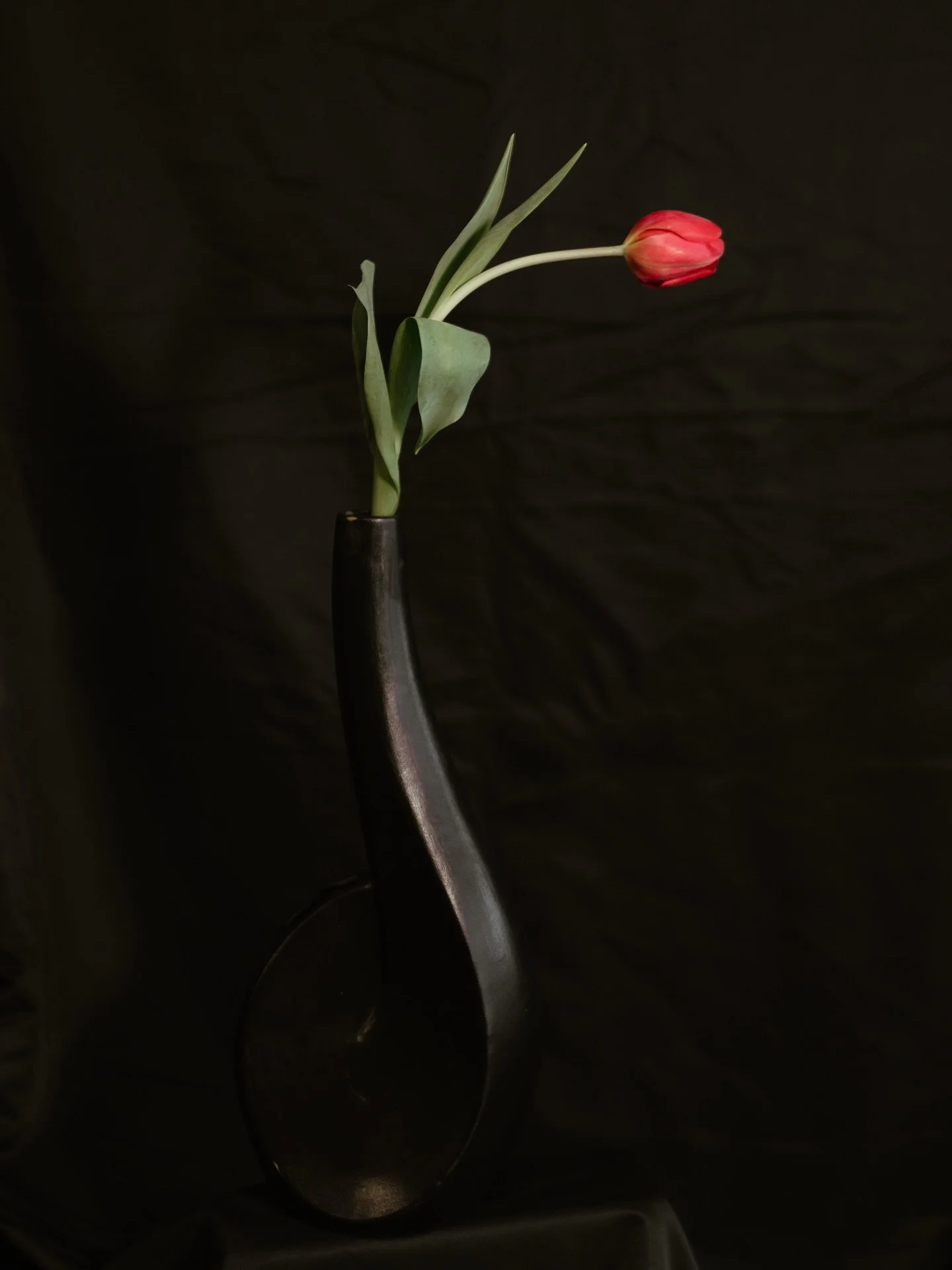 Happy spring equinox to all who celebrate 🌸🌷🌼